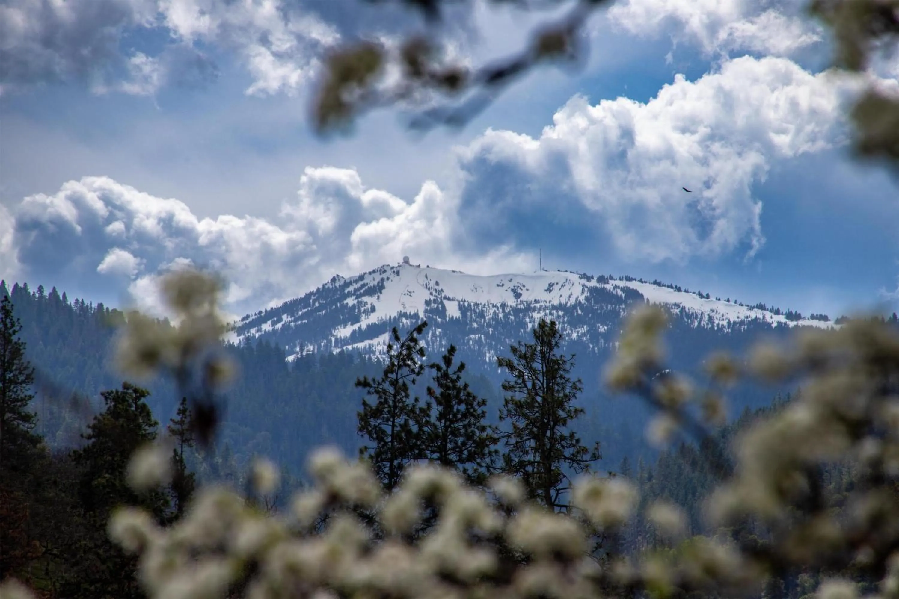 Other in The Bard's Inn - BW Signature Collection by Best Western