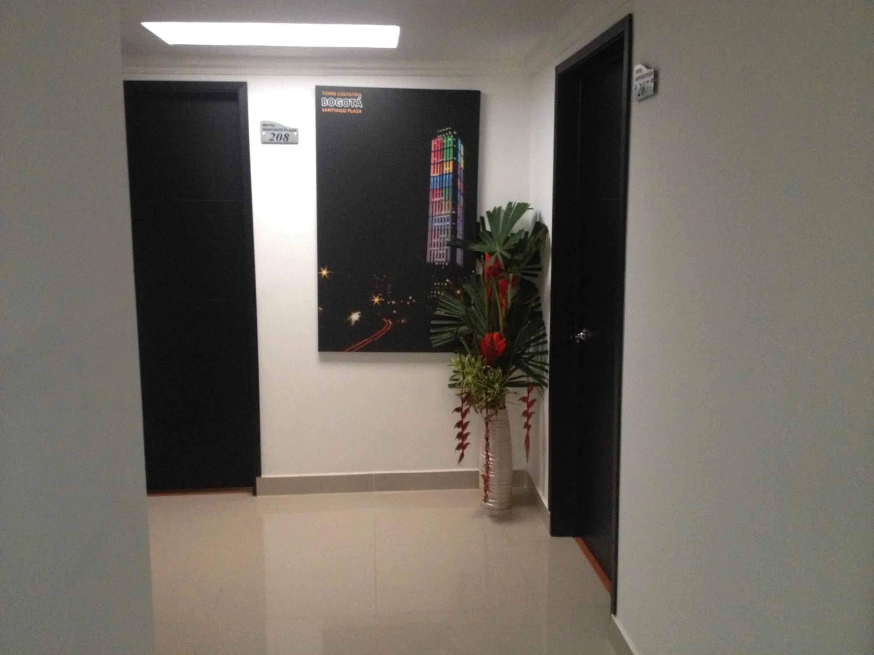 Area and facilities in Hotel Santiago Plaza