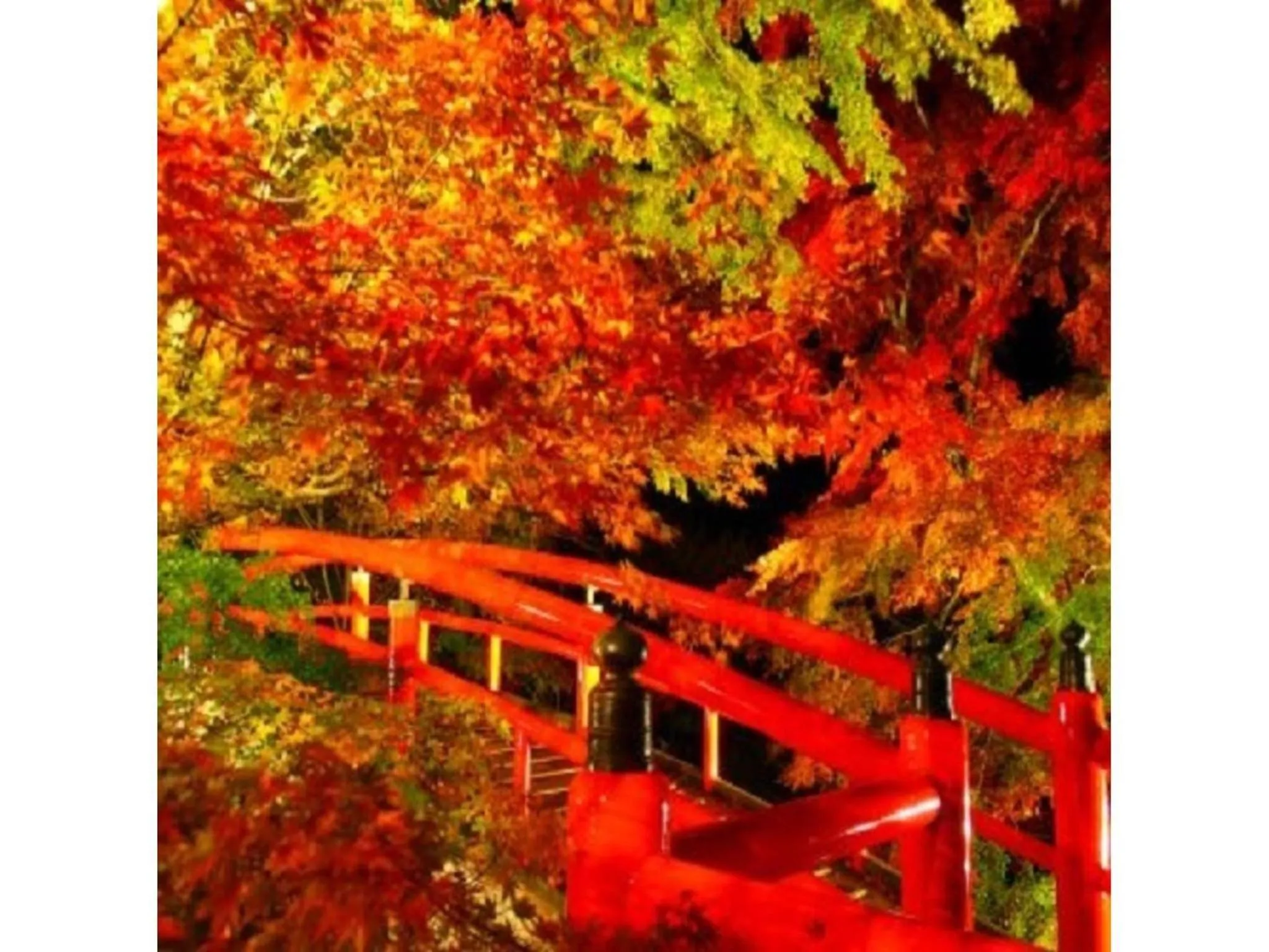 Ikaho Onsen Sanyo Hotel - Vacation STAY 26406v