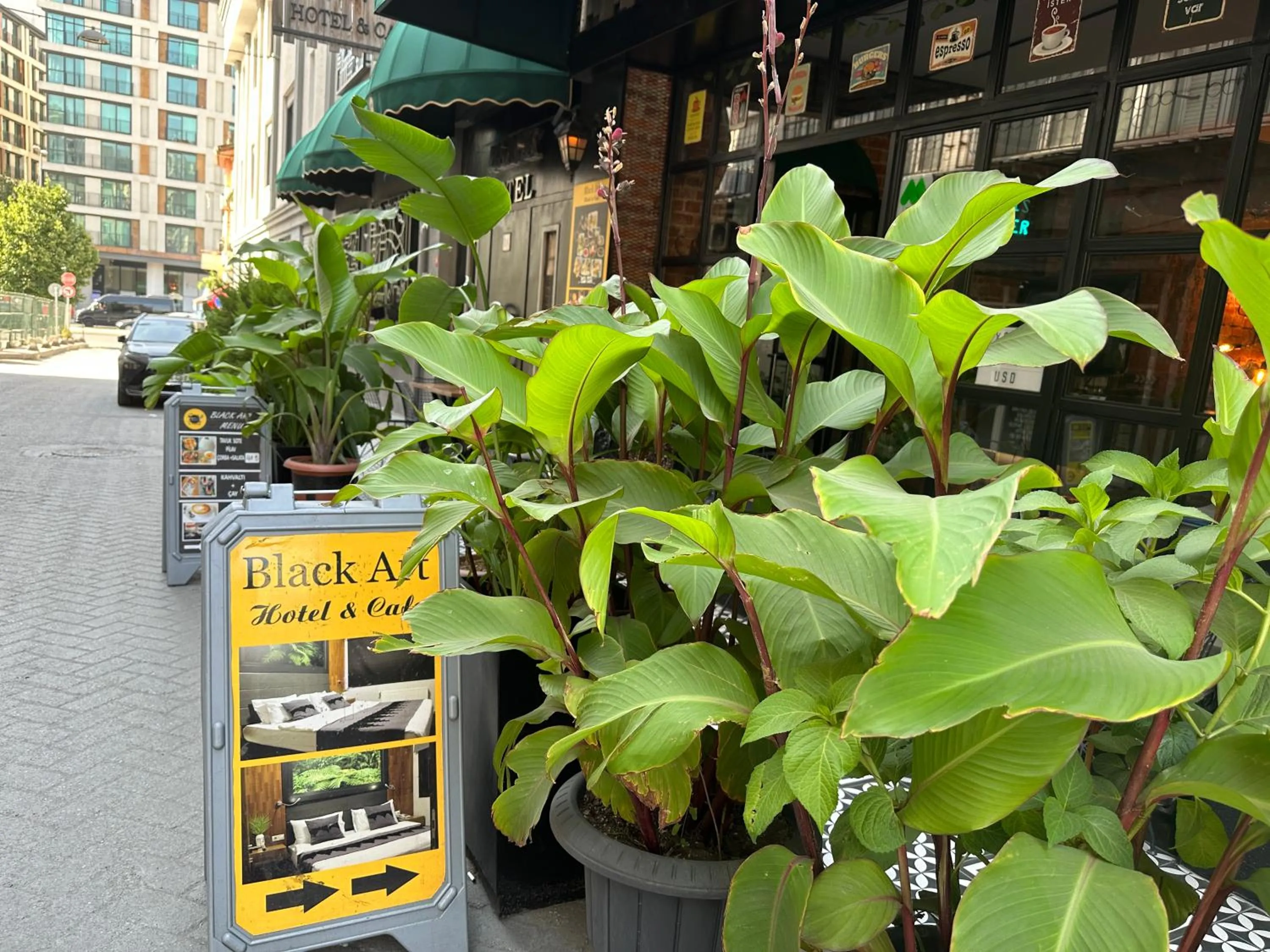 Property building in Black Art Otel