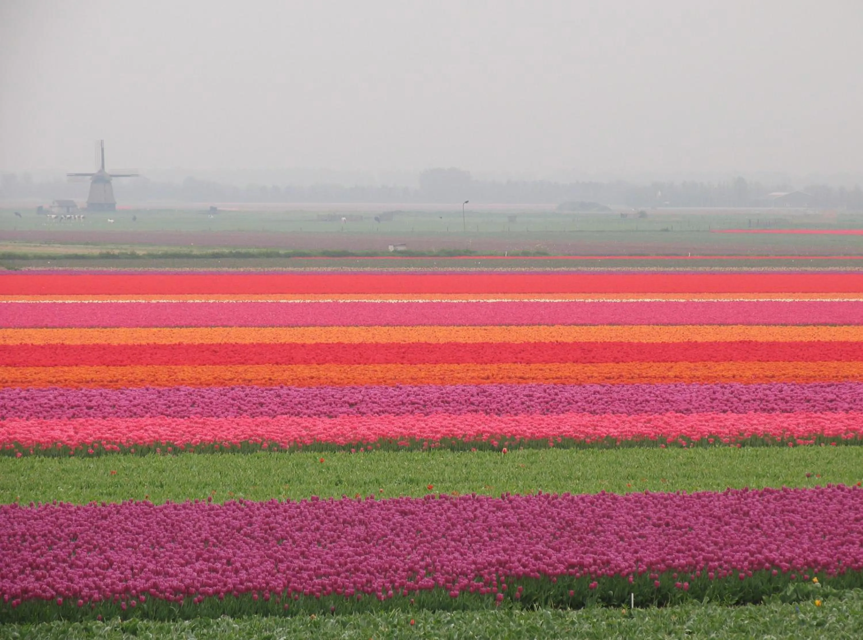 Nearby landmark in Nicolette Apartments