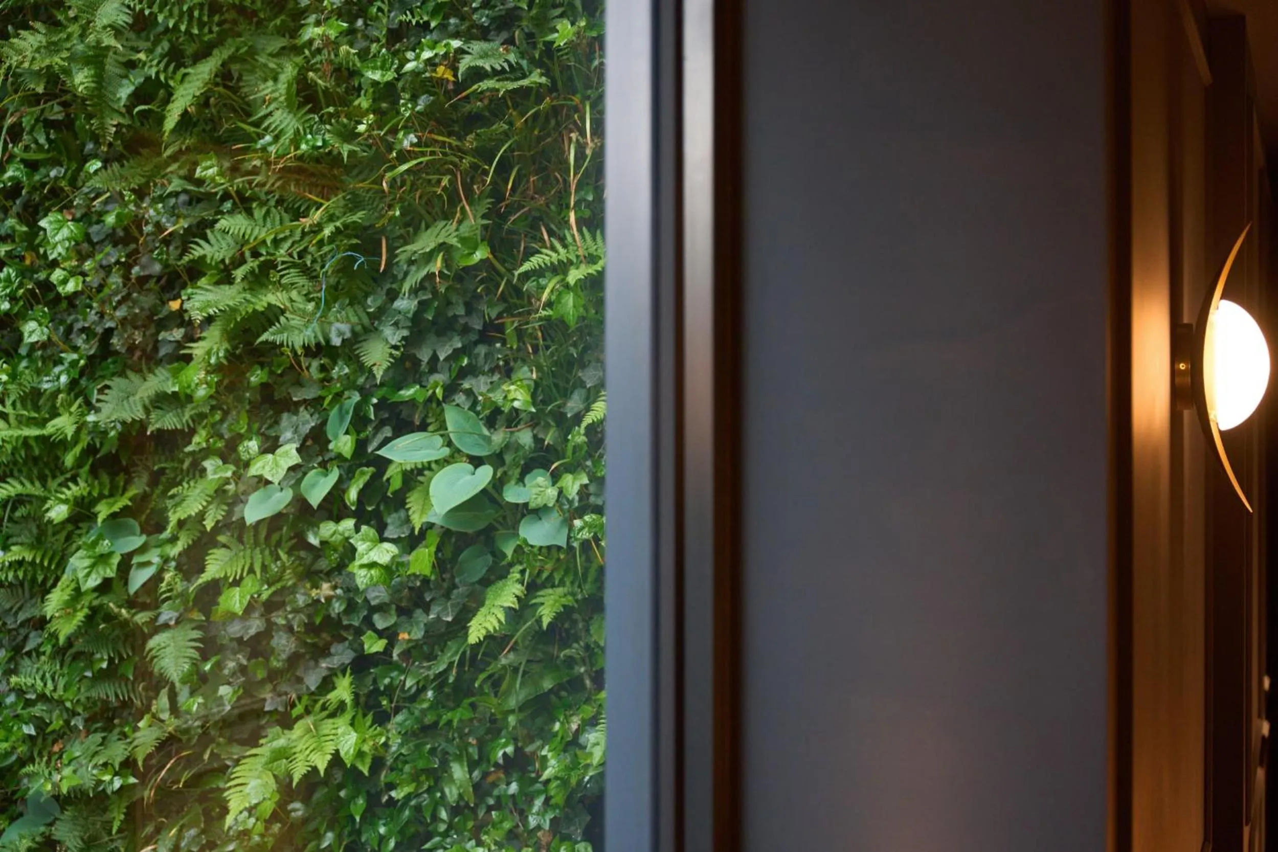 Inner courtyard view in The Store