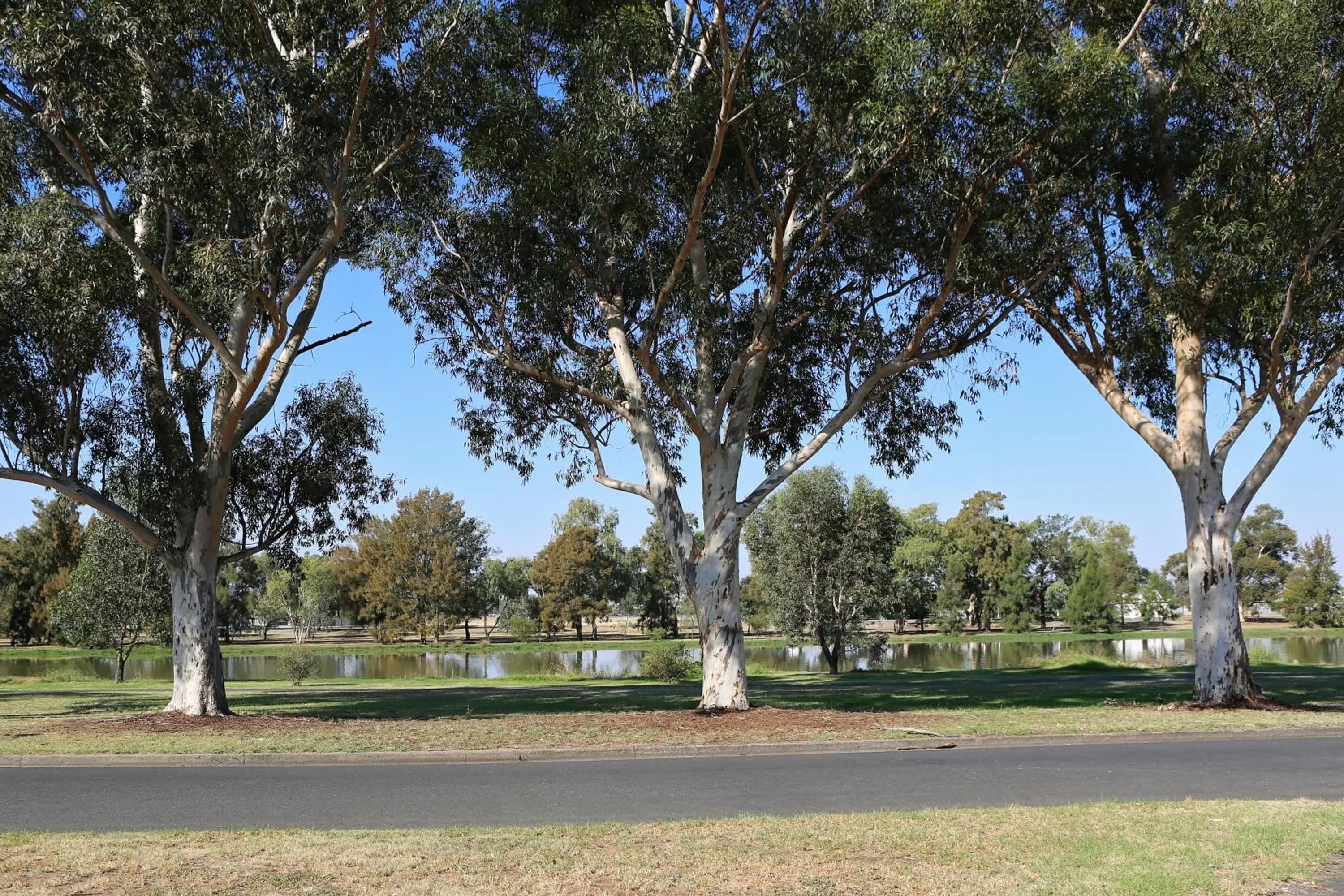 Day in Forbes Victoria Inn