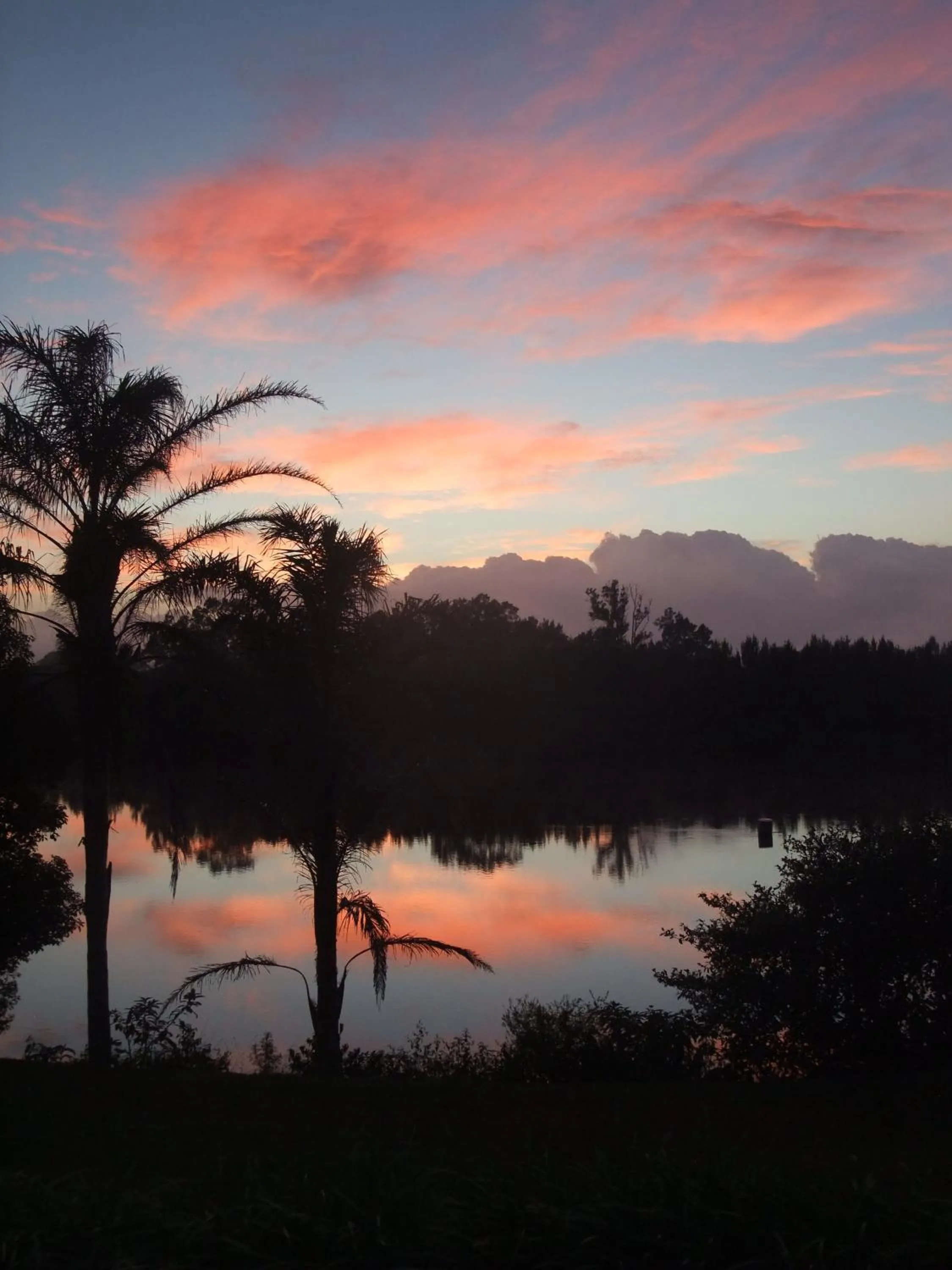 Colonial Court Motor Inn