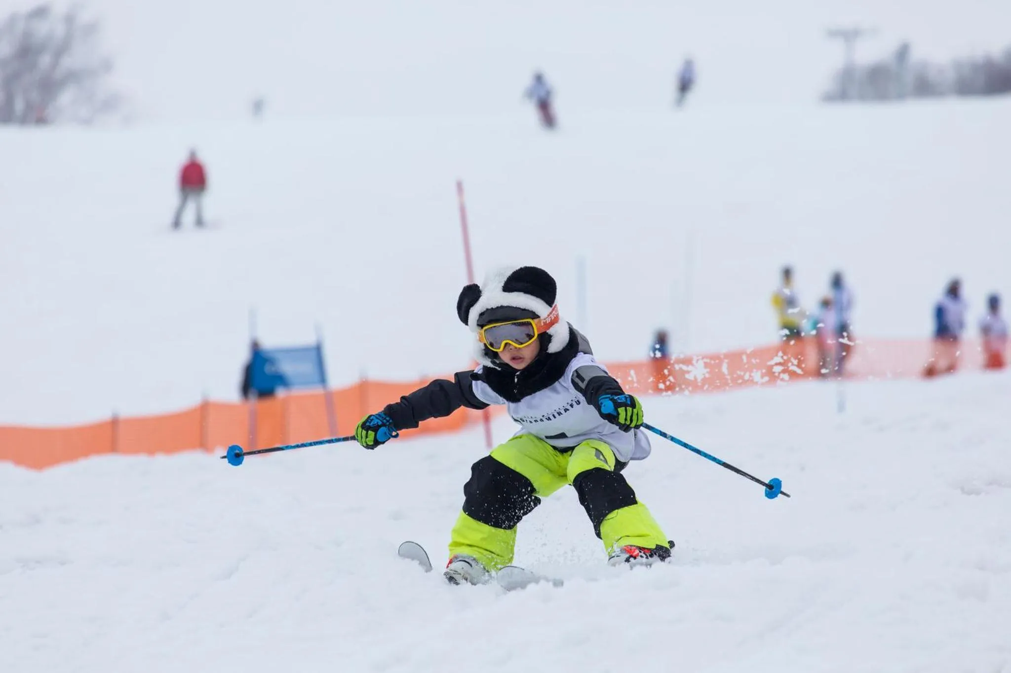 Activities in Ginsetsu