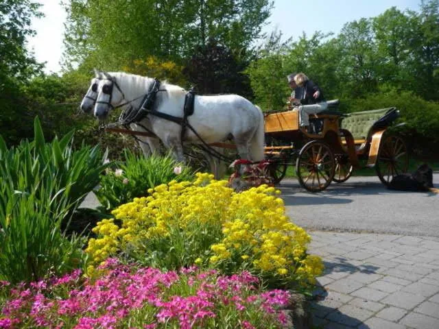 Garden in Hotelanlage Country Lodge
