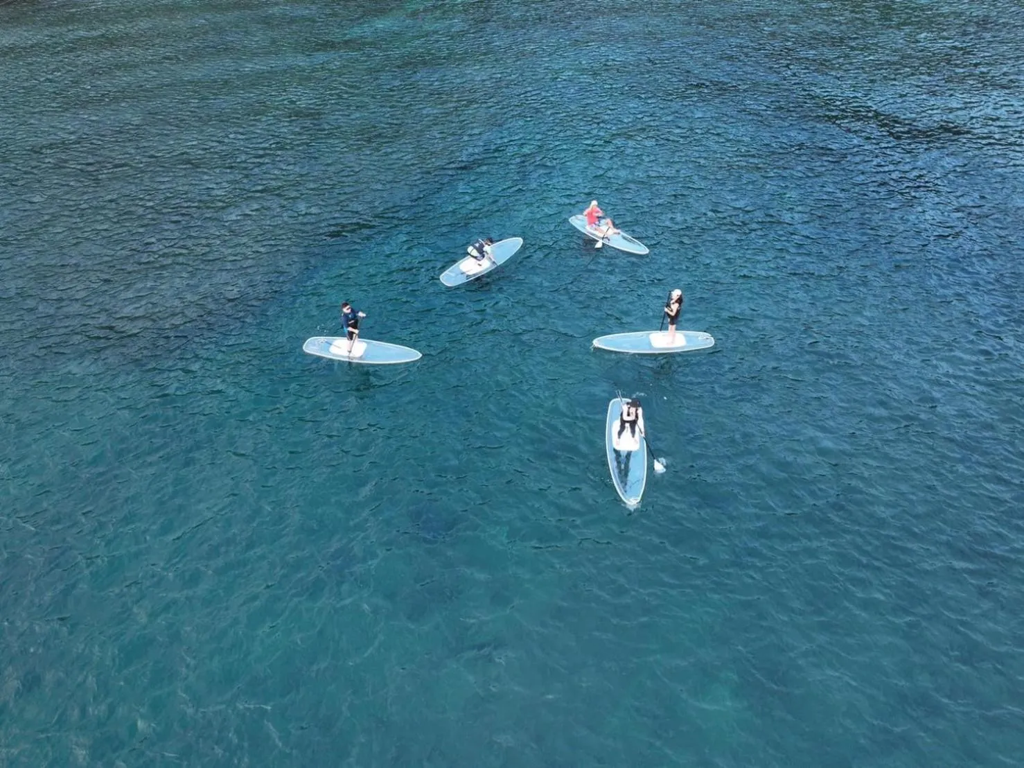 Canoeing in Hotel BEGINS 倉箱蜜境文旅
