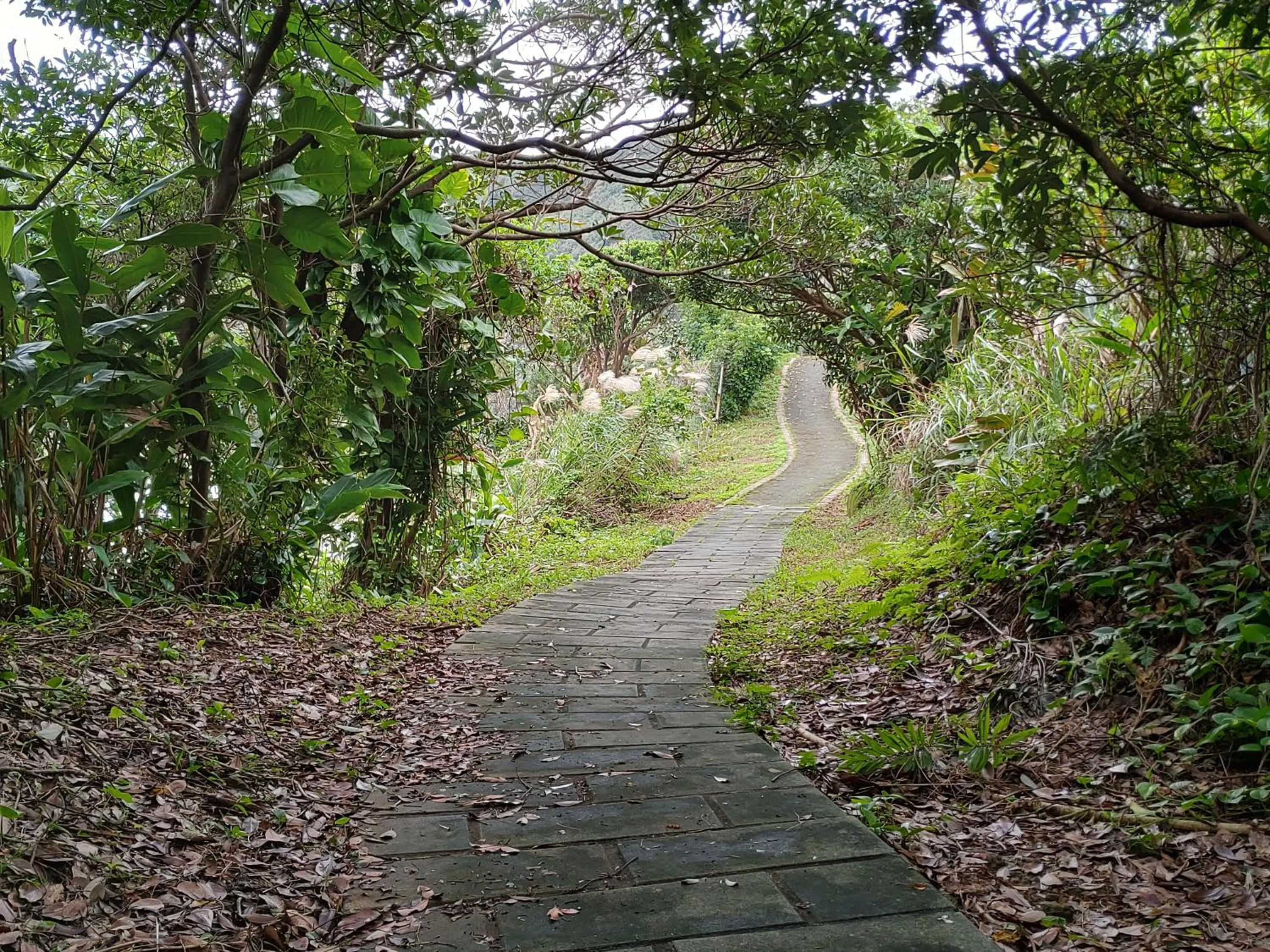 Hiking in Hotel BEGINS 倉箱蜜境文旅
