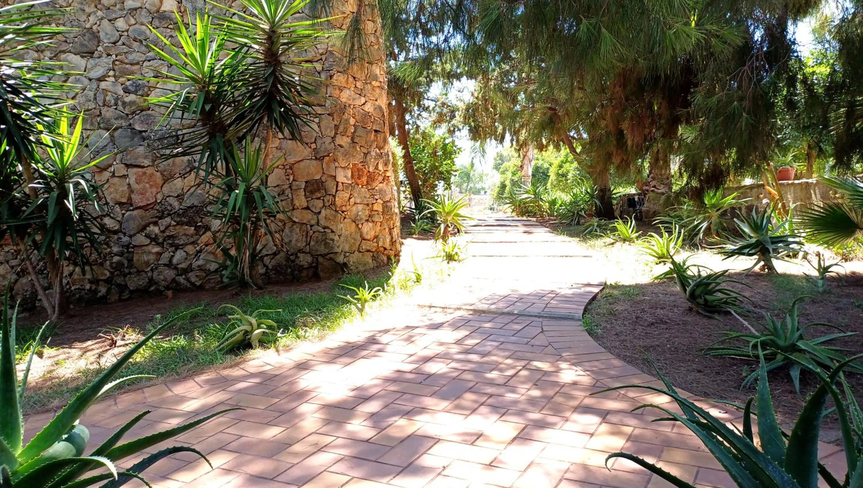 Property building in Borgo Console