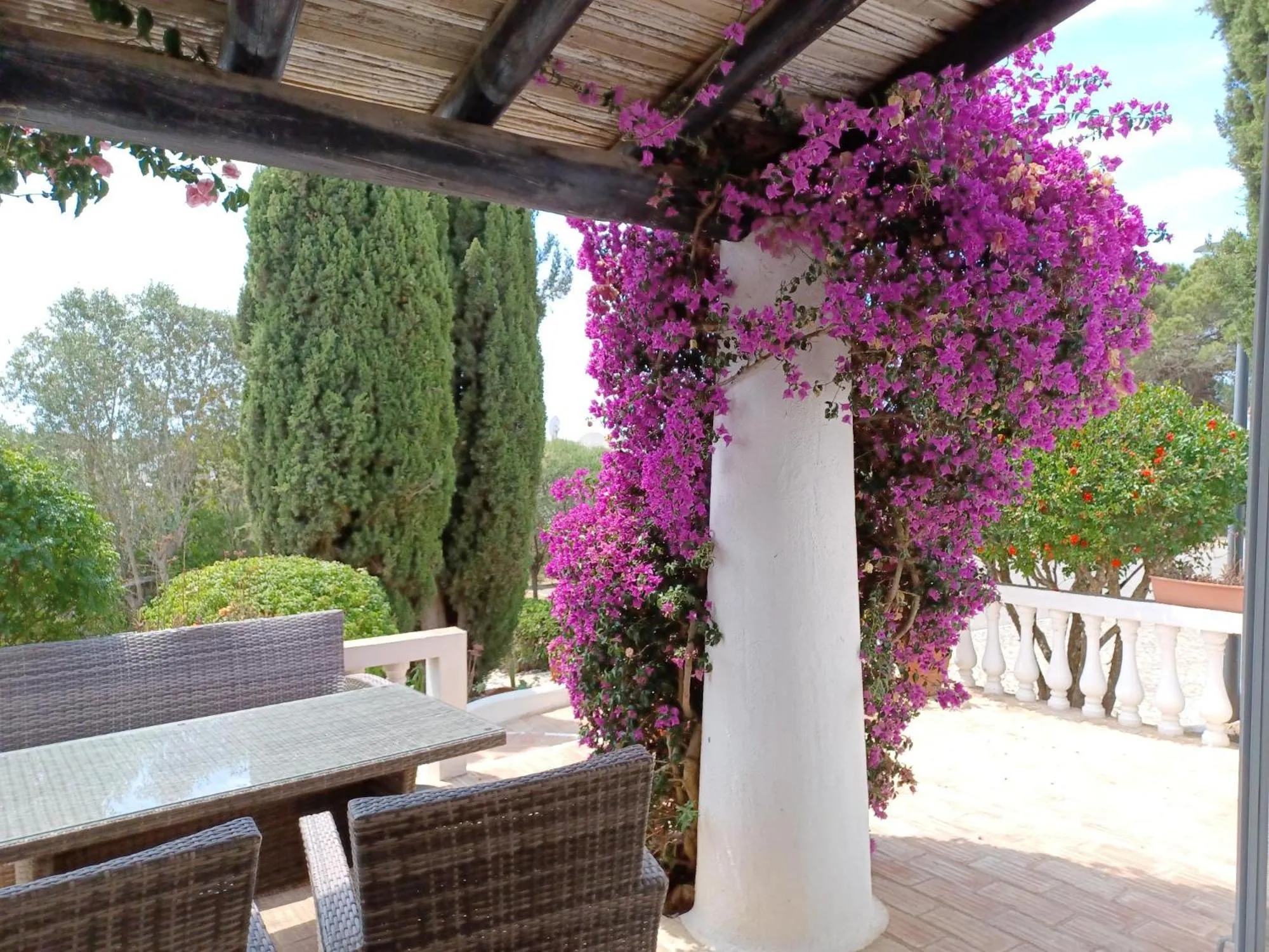 Patio in Quinta do Paraíso - Casa Colynda