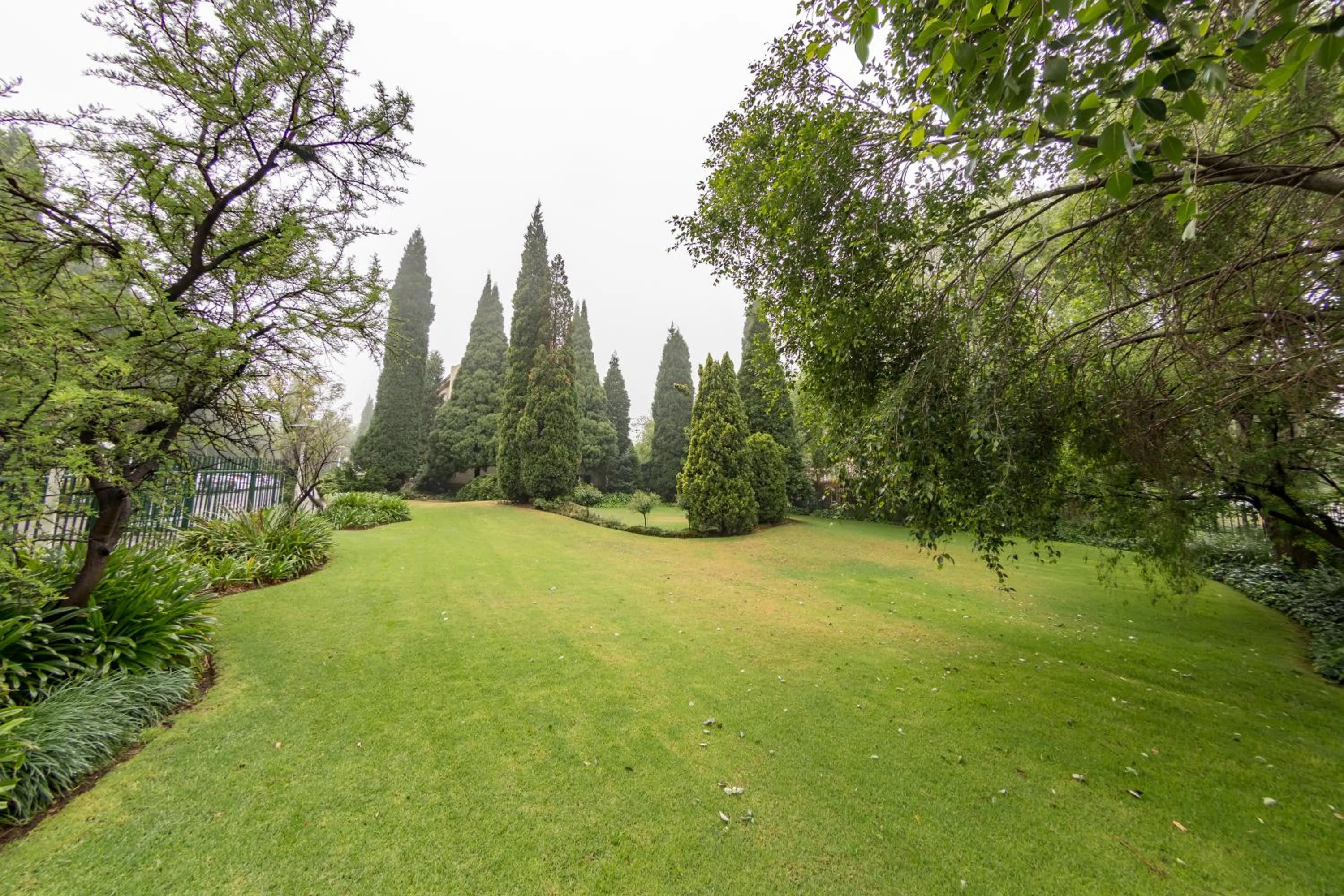 Spring in Road Lodge JNB Airport