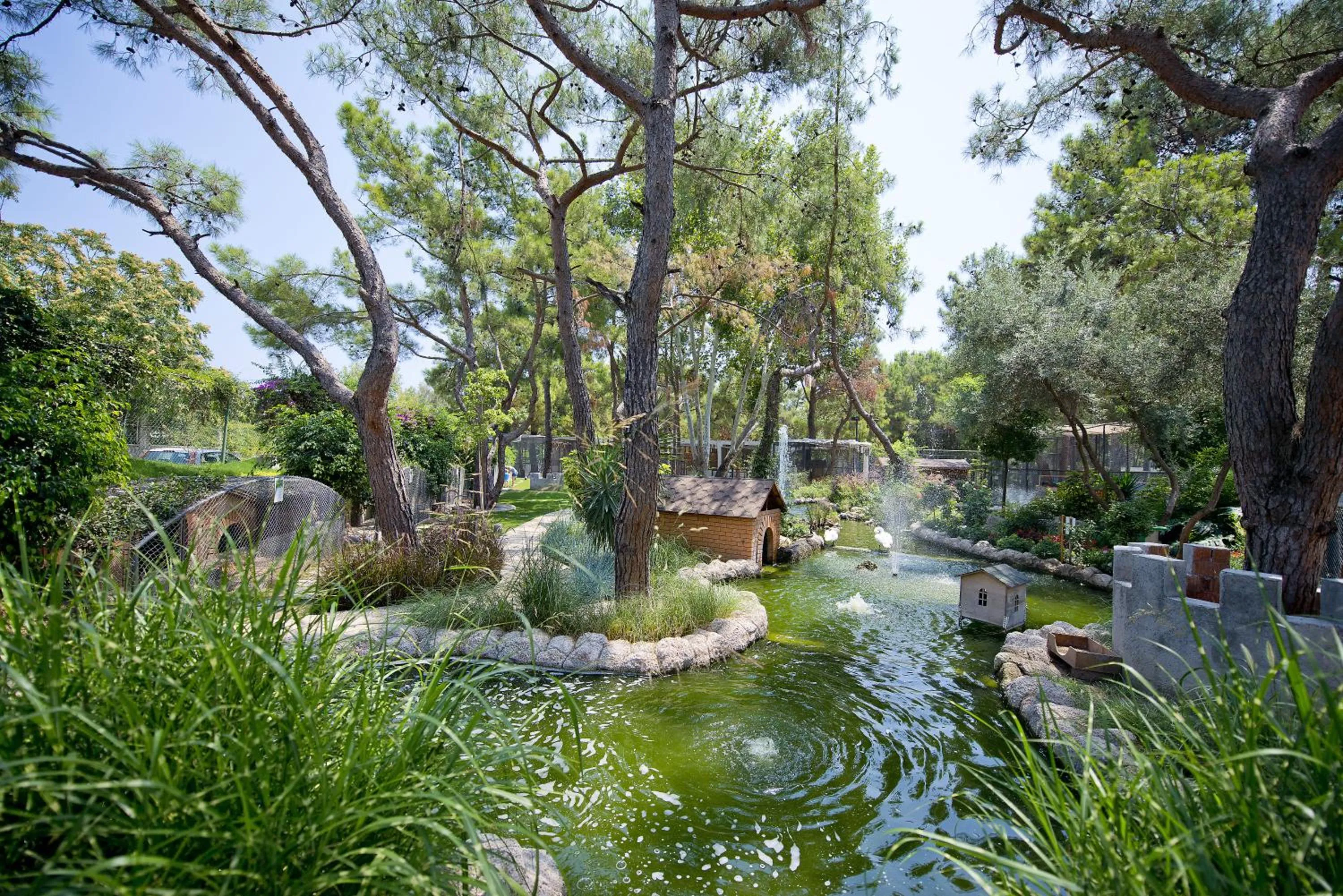 Day in Mirada Del Mar Hotel - Ultra All Inclusive