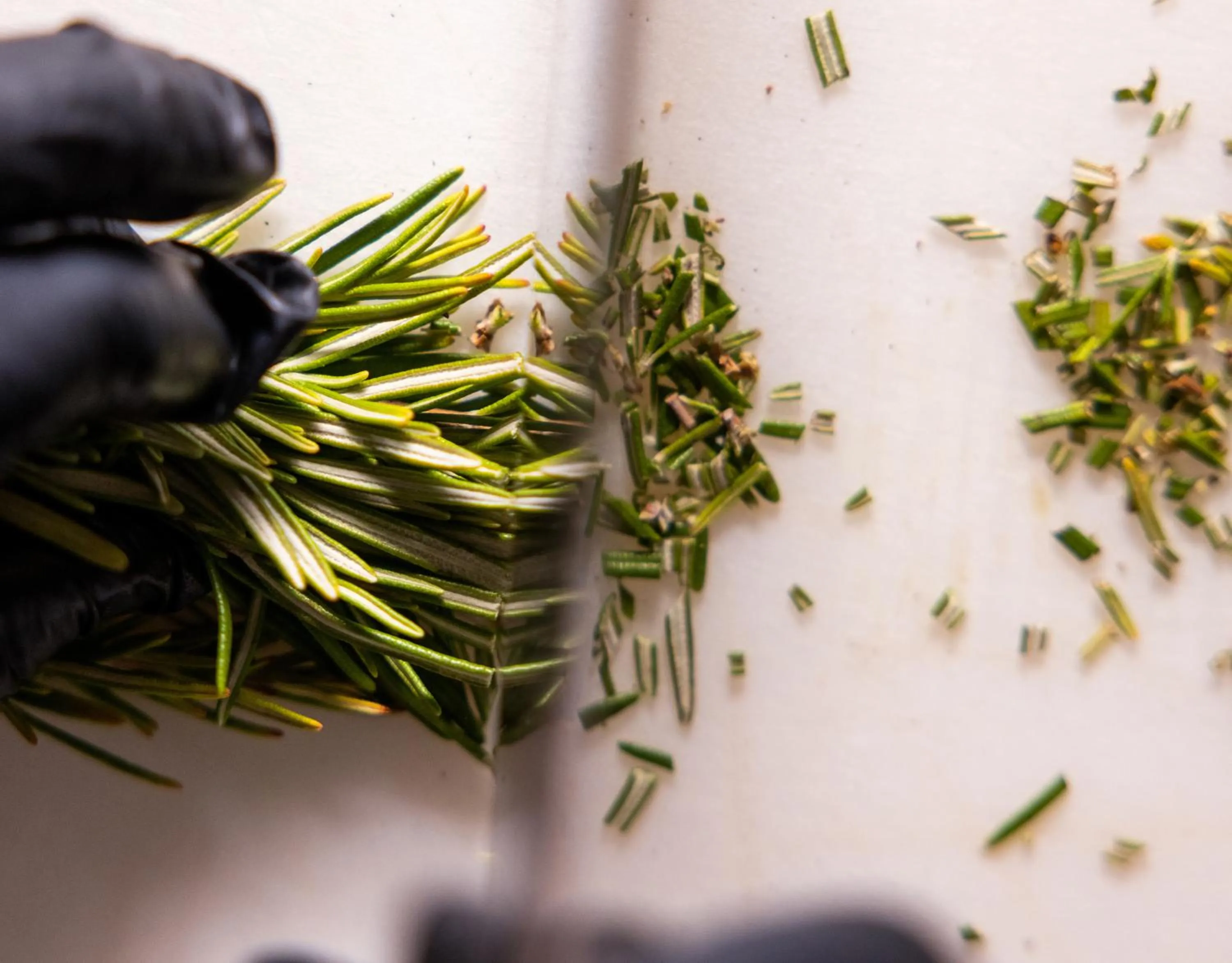 Food in Hotel Castellucci