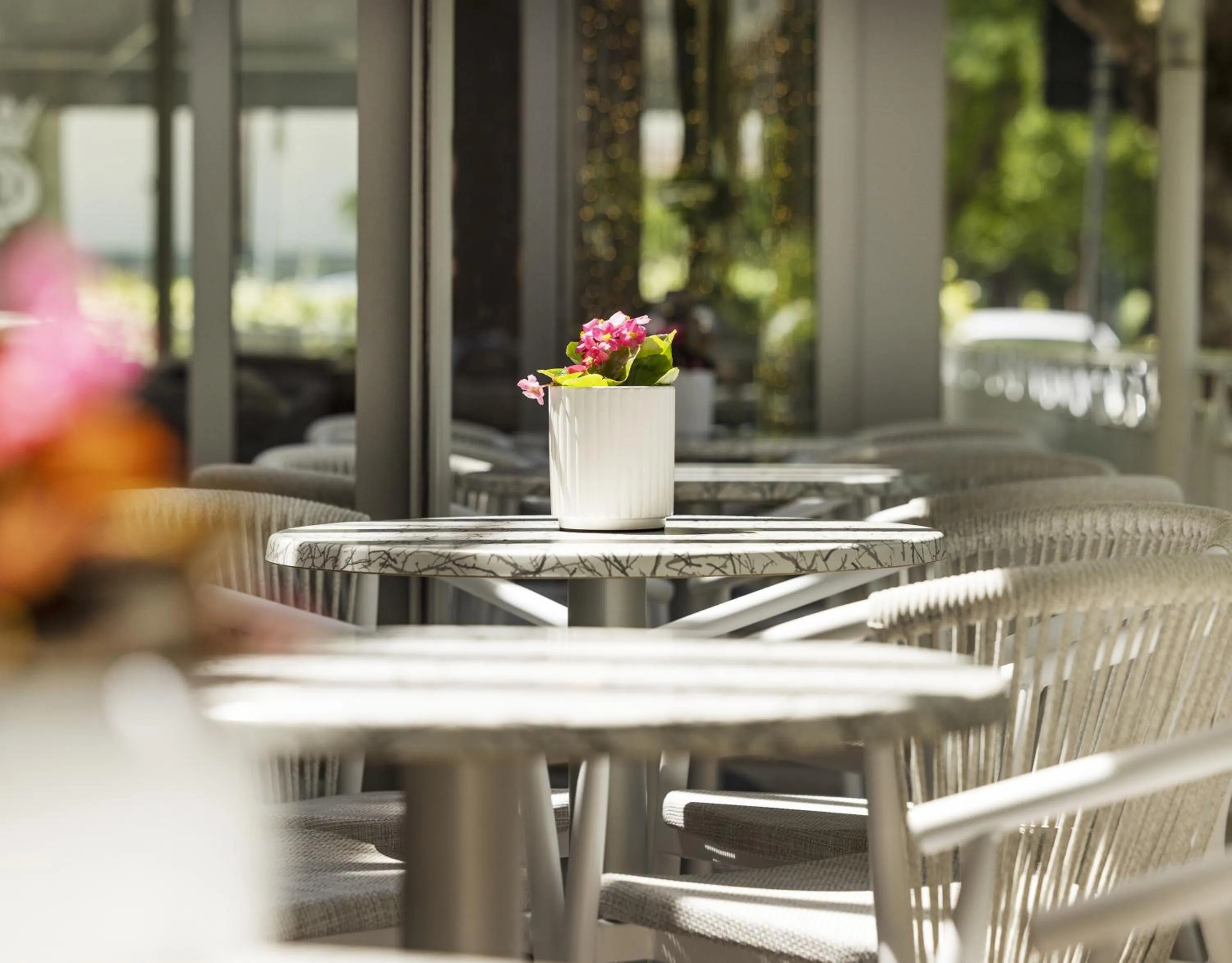 Restaurant/places to eat in Hotel Castellucci