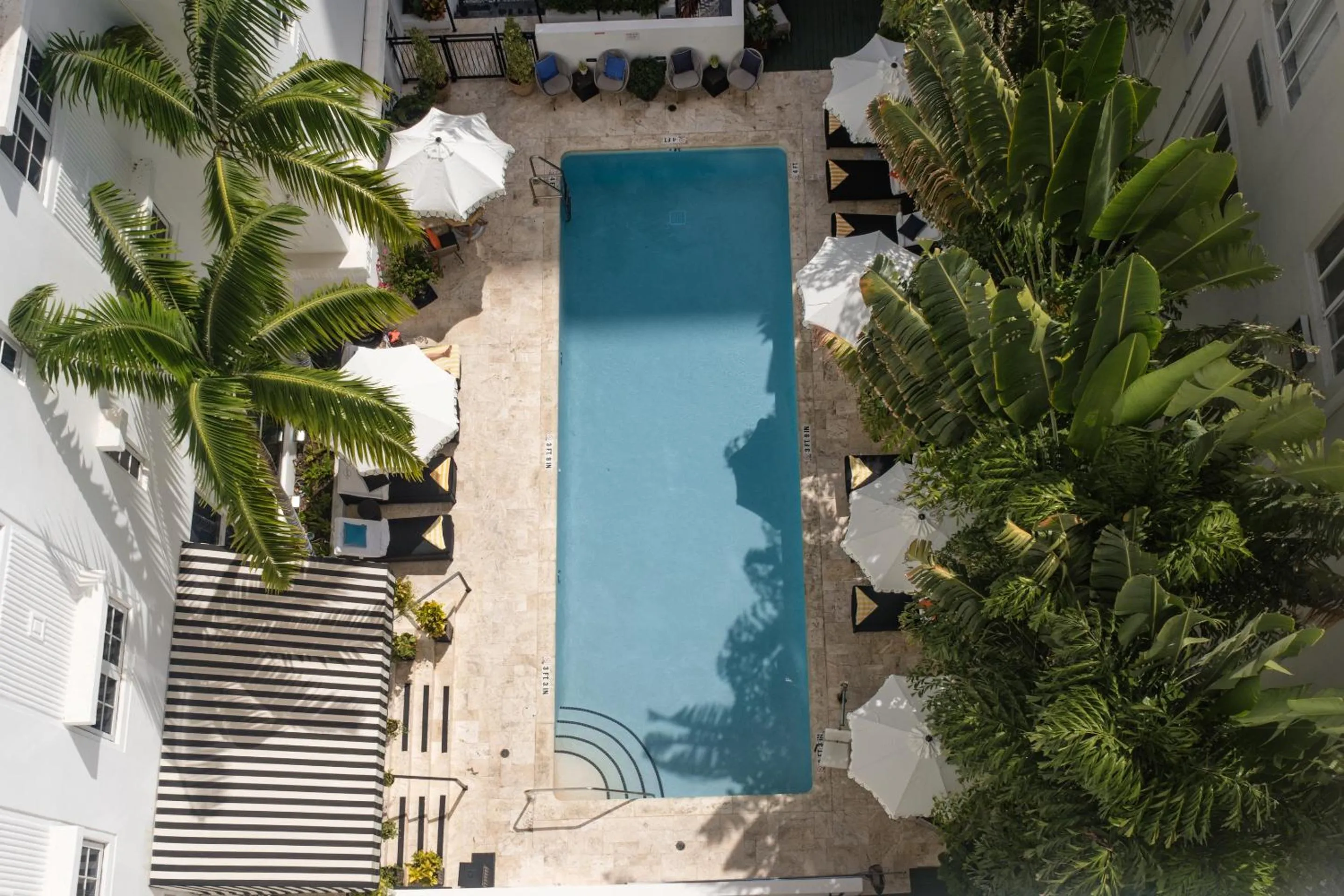 Swimming pool in Hotel Croydon