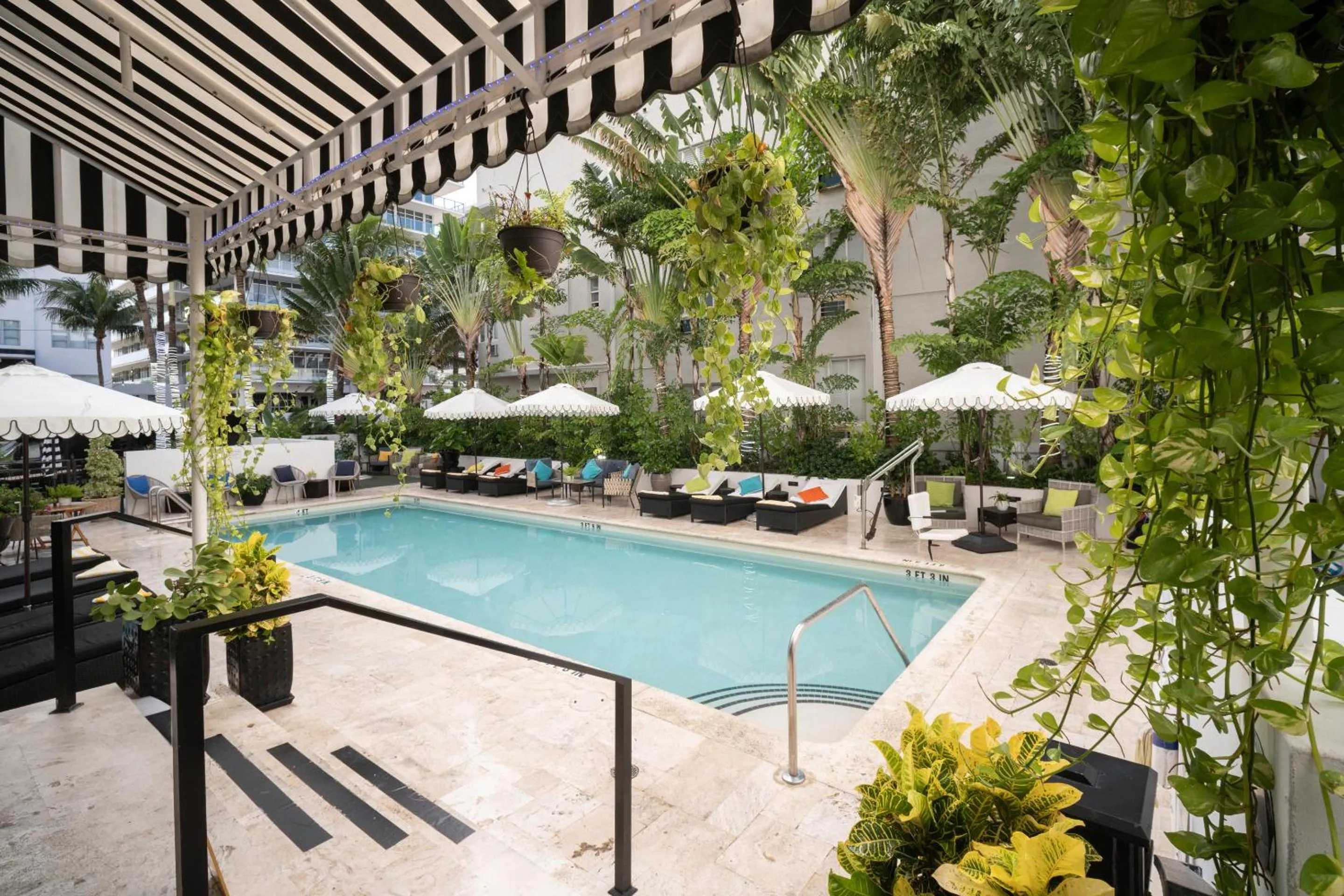 Swimming pool in Hotel Croydon