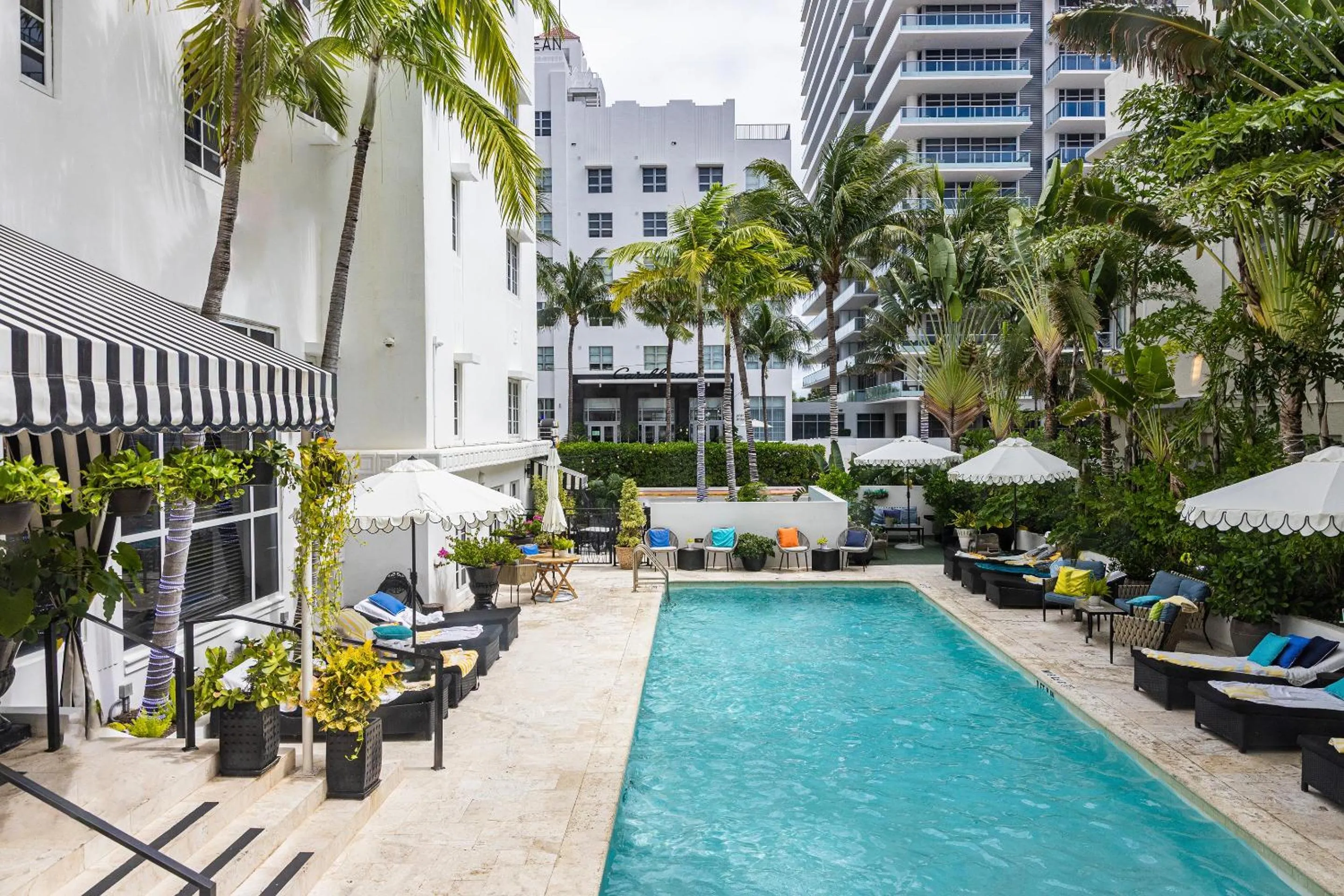 Pool view in Hotel Croydon