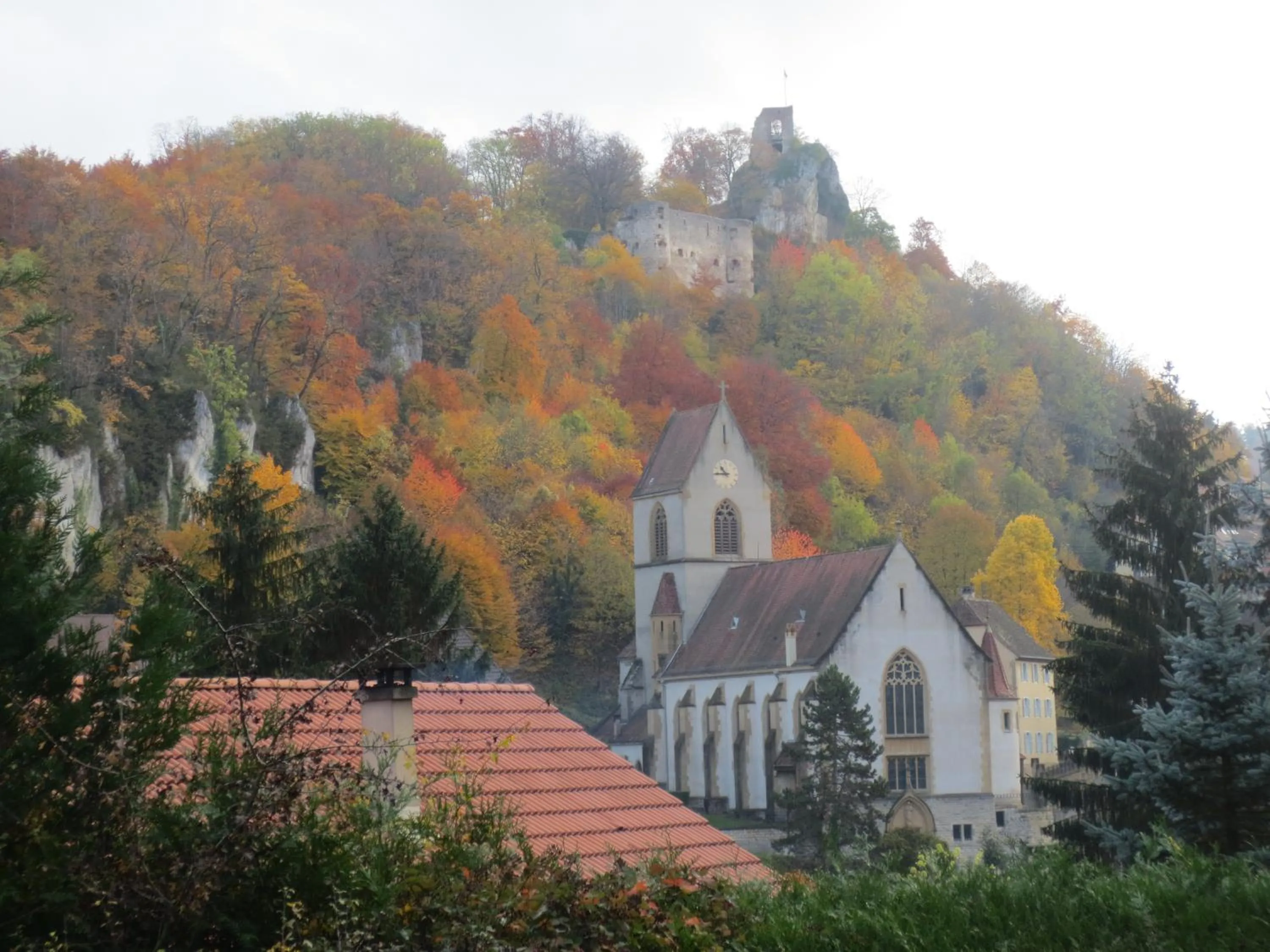 View (from property/room) in La Maison des Fontaines d'Alsace