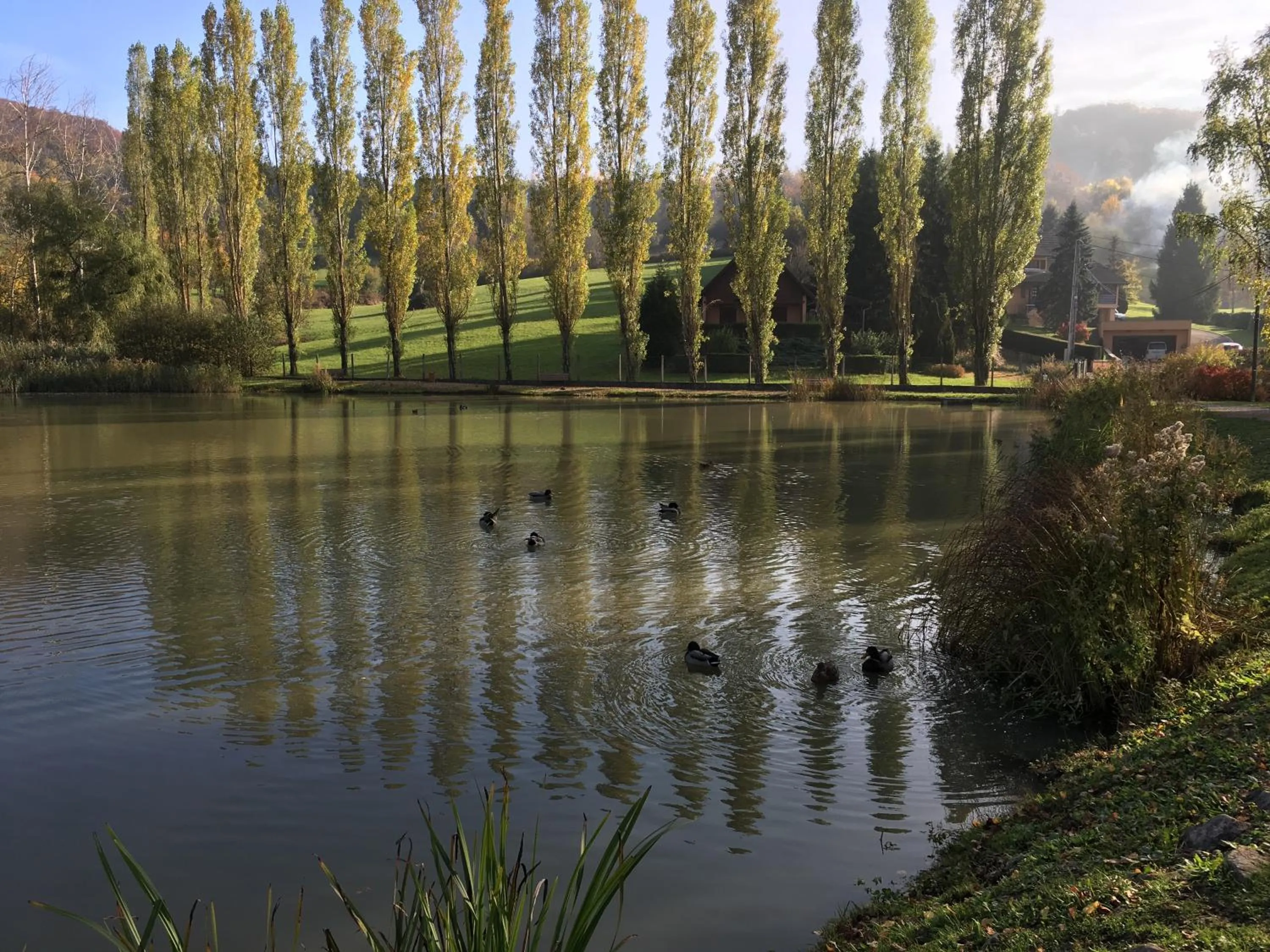 Natural landscape in La Maison des Fontaines d'Alsace