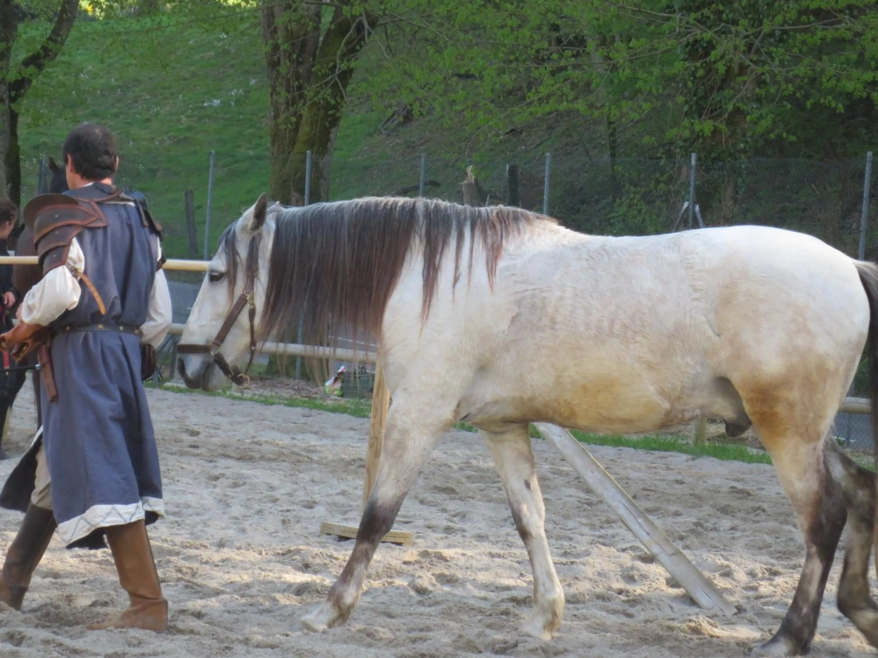 View (from property/room) in La Maison des Fontaines d'Alsace