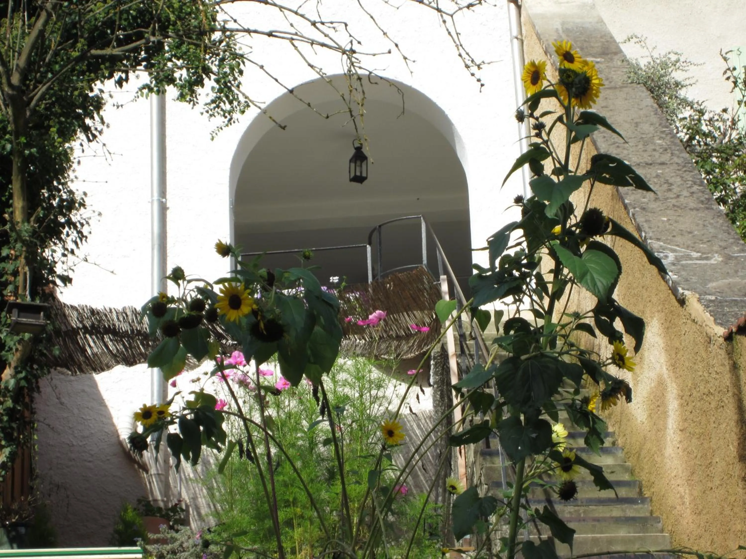Garden in La Maison des Fontaines d'Alsace