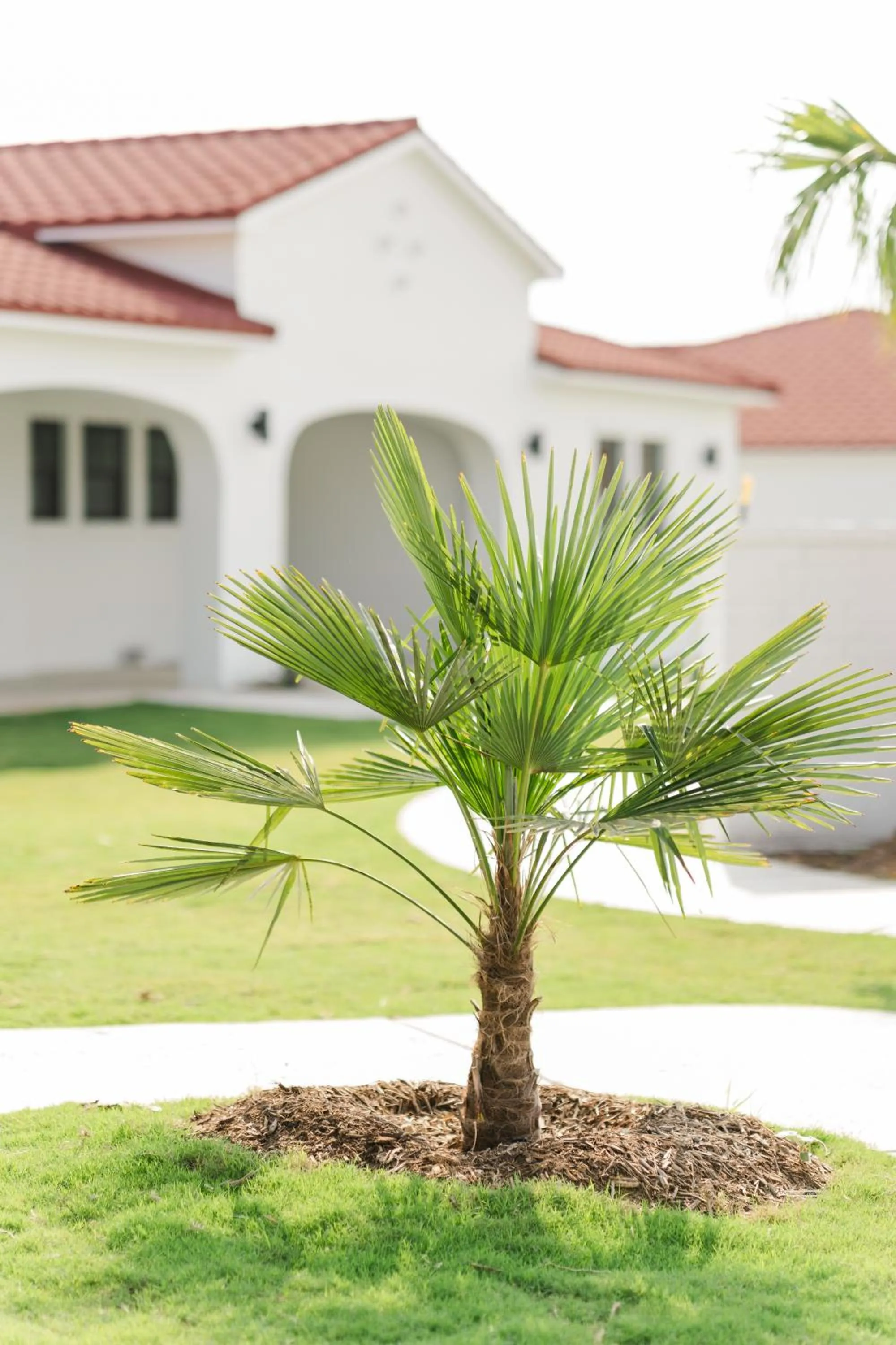 Property building in La Palmilla Texas