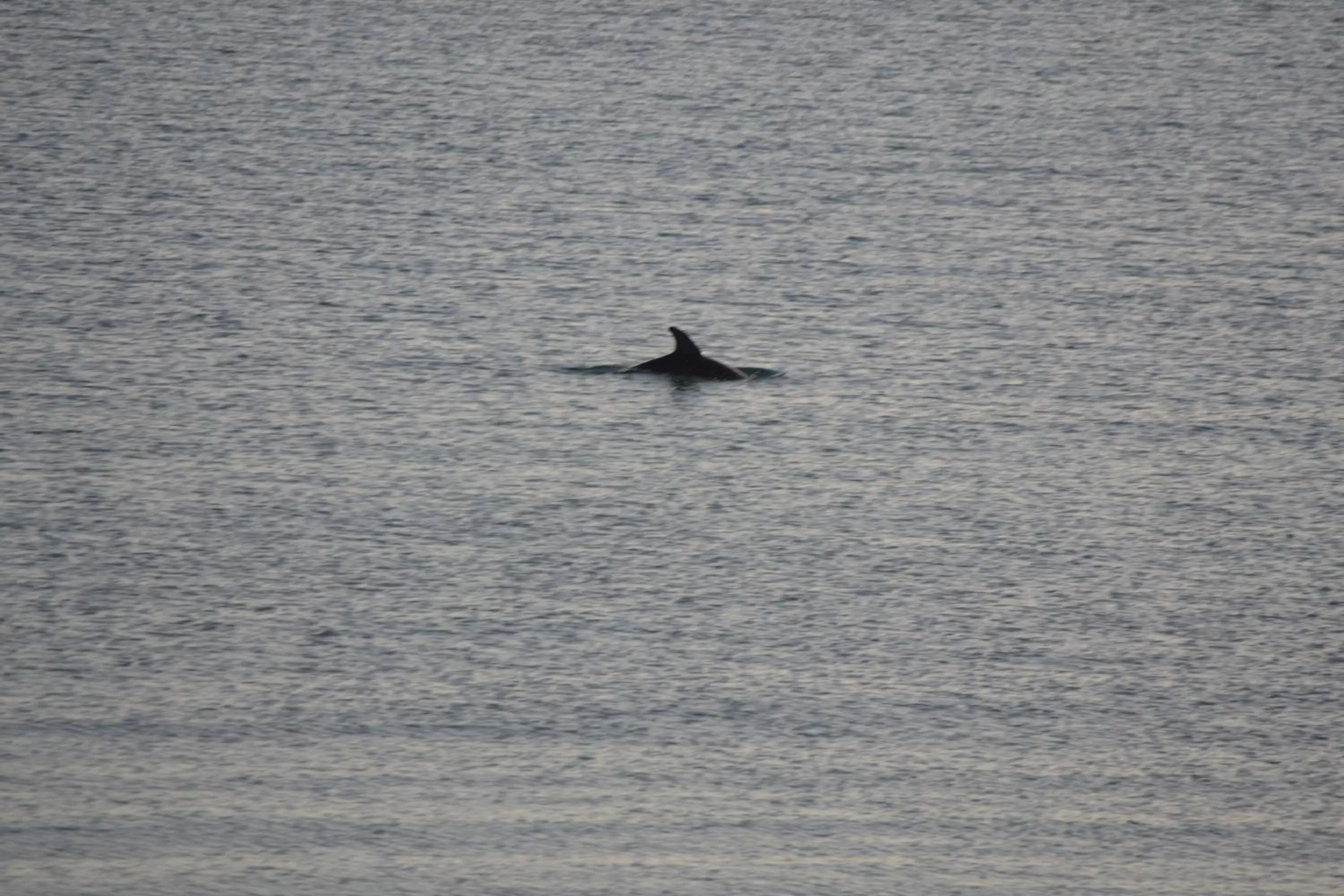 Sea view in Belizean Nirvana