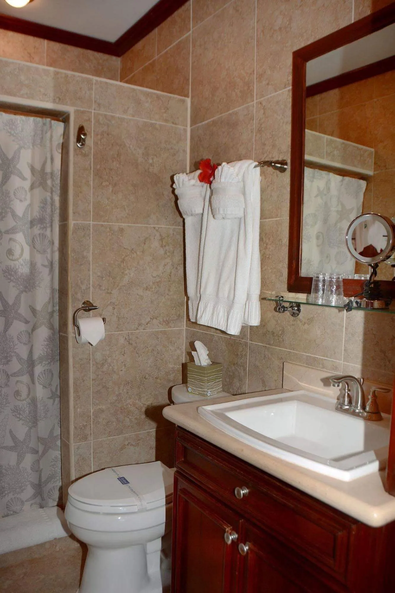 Toilet in Belizean Nirvana