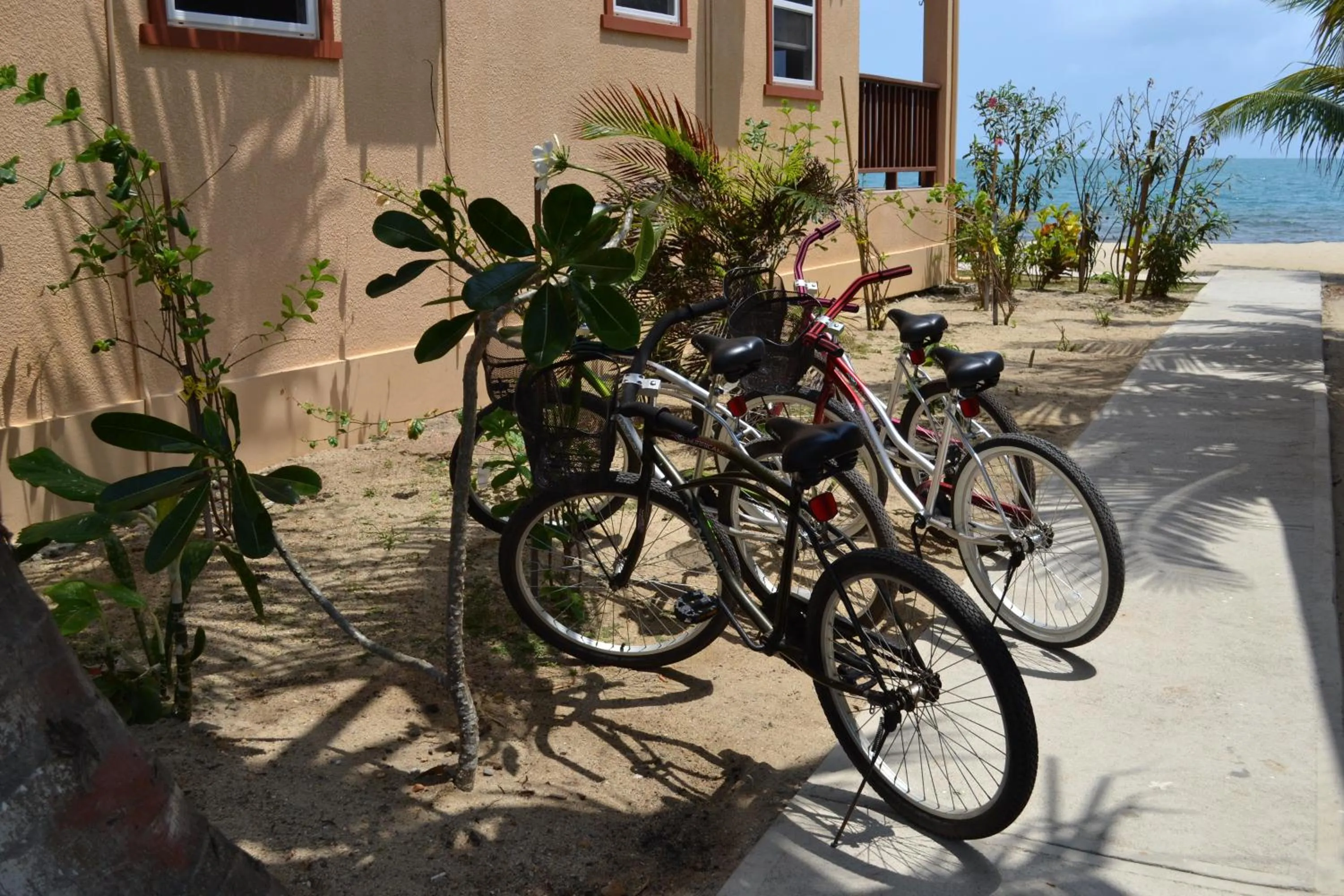 Activities in Belizean Nirvana