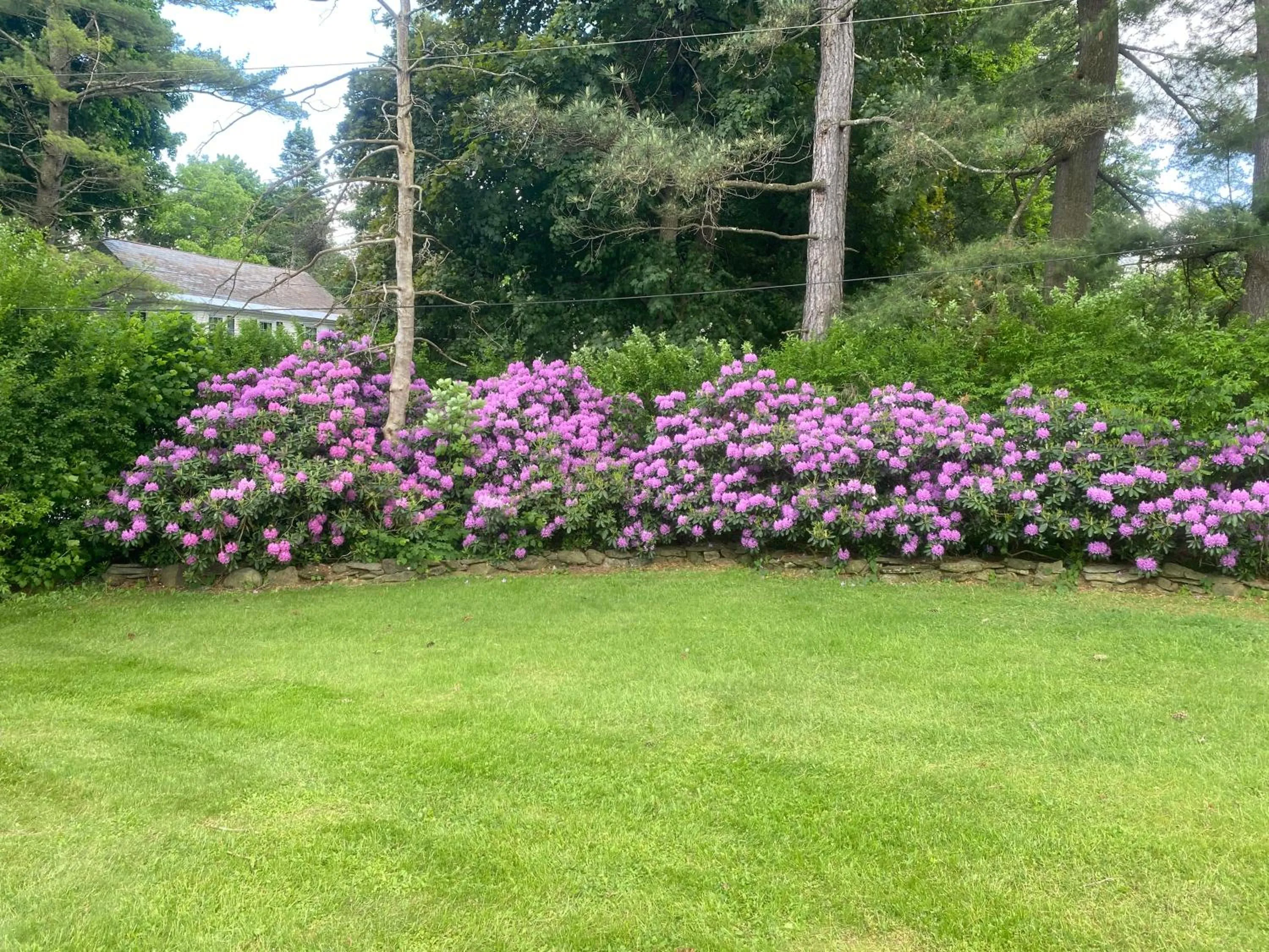 Hotel Vervana, Trademark Collection by Wyndham