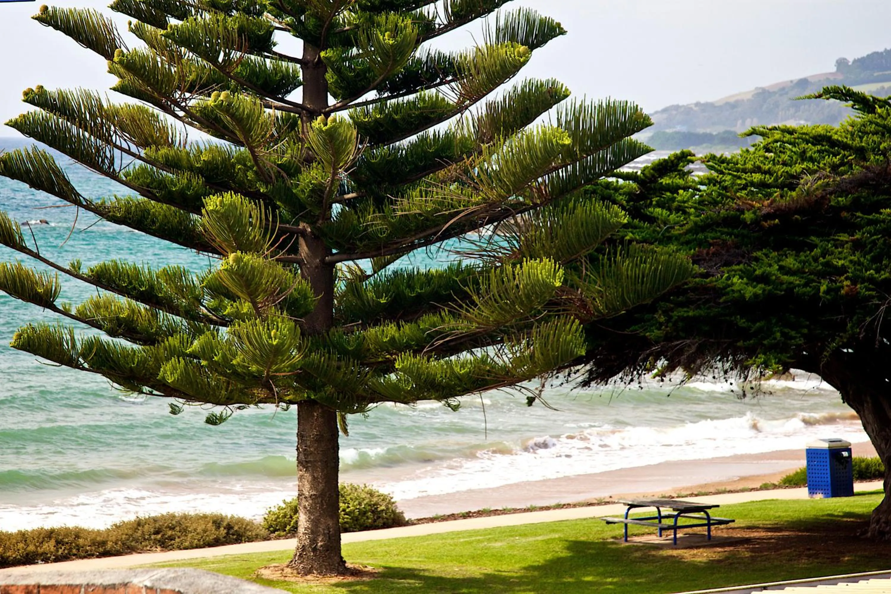 Patio in Penguin Beachfront Apartments