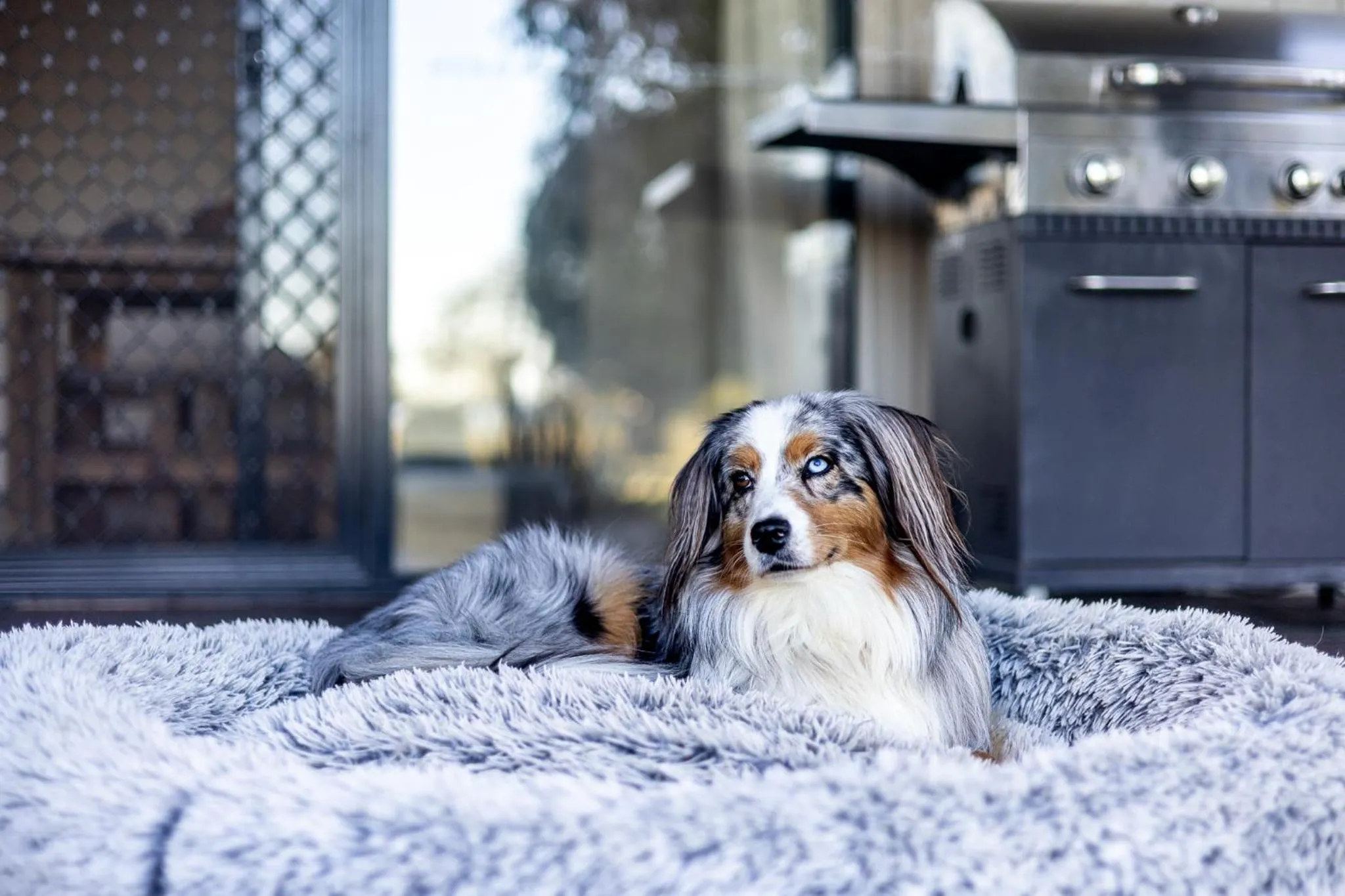 BIG4 Saltwater Yamba Holiday Park