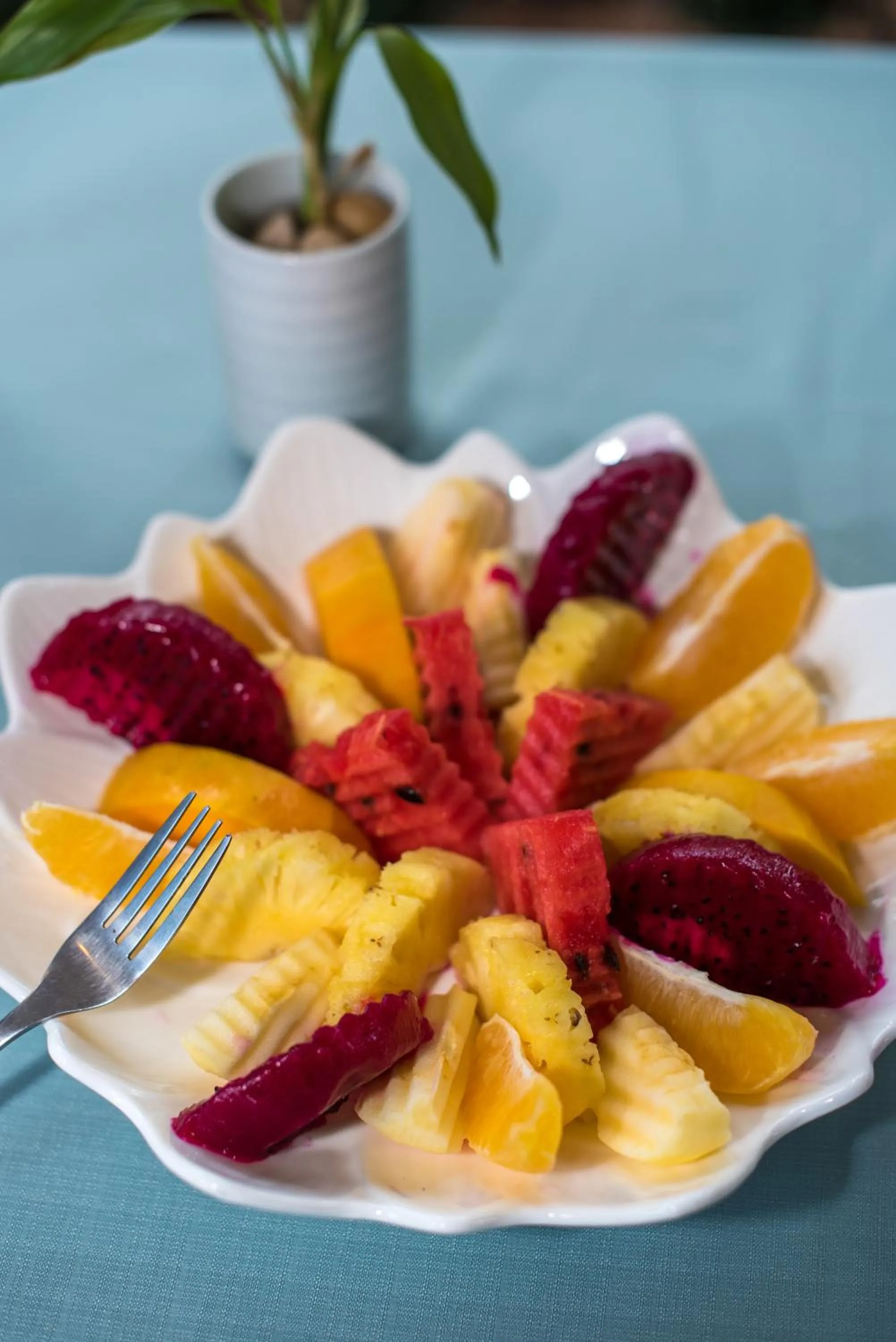 Dinner in P5 Angkor Residence