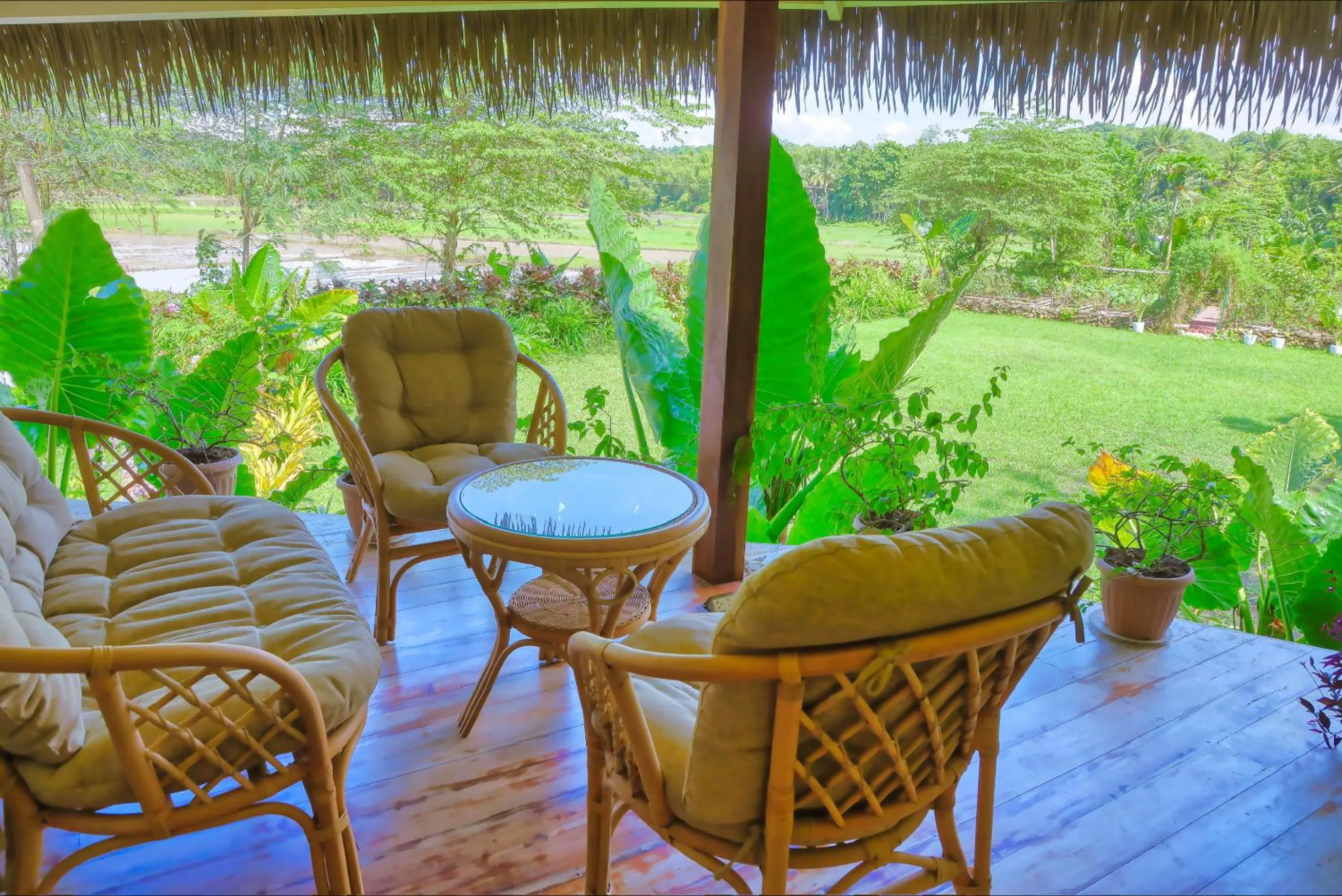 Garden in Fox & The Firefly Cottages