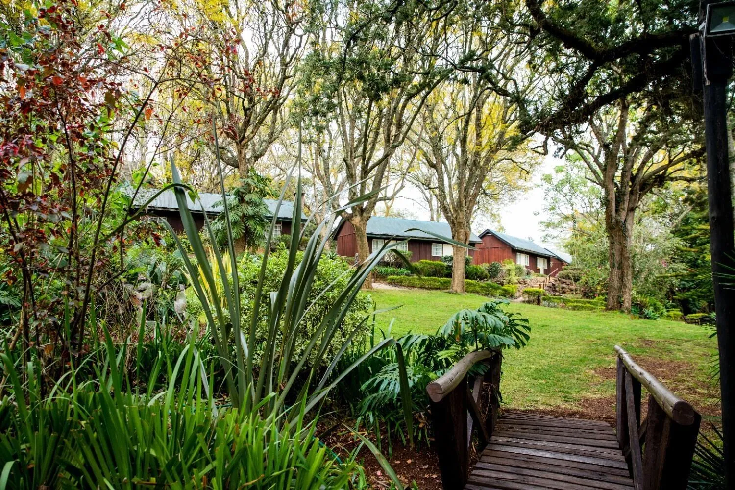 Restaurant/places to eat in Naro Moru River Lodge