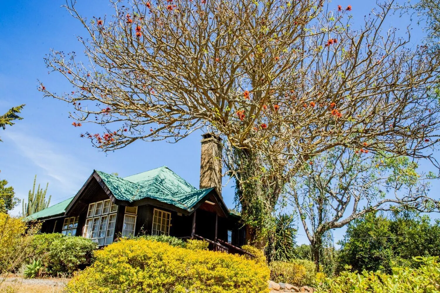 Property building in Naro Moru River Lodge