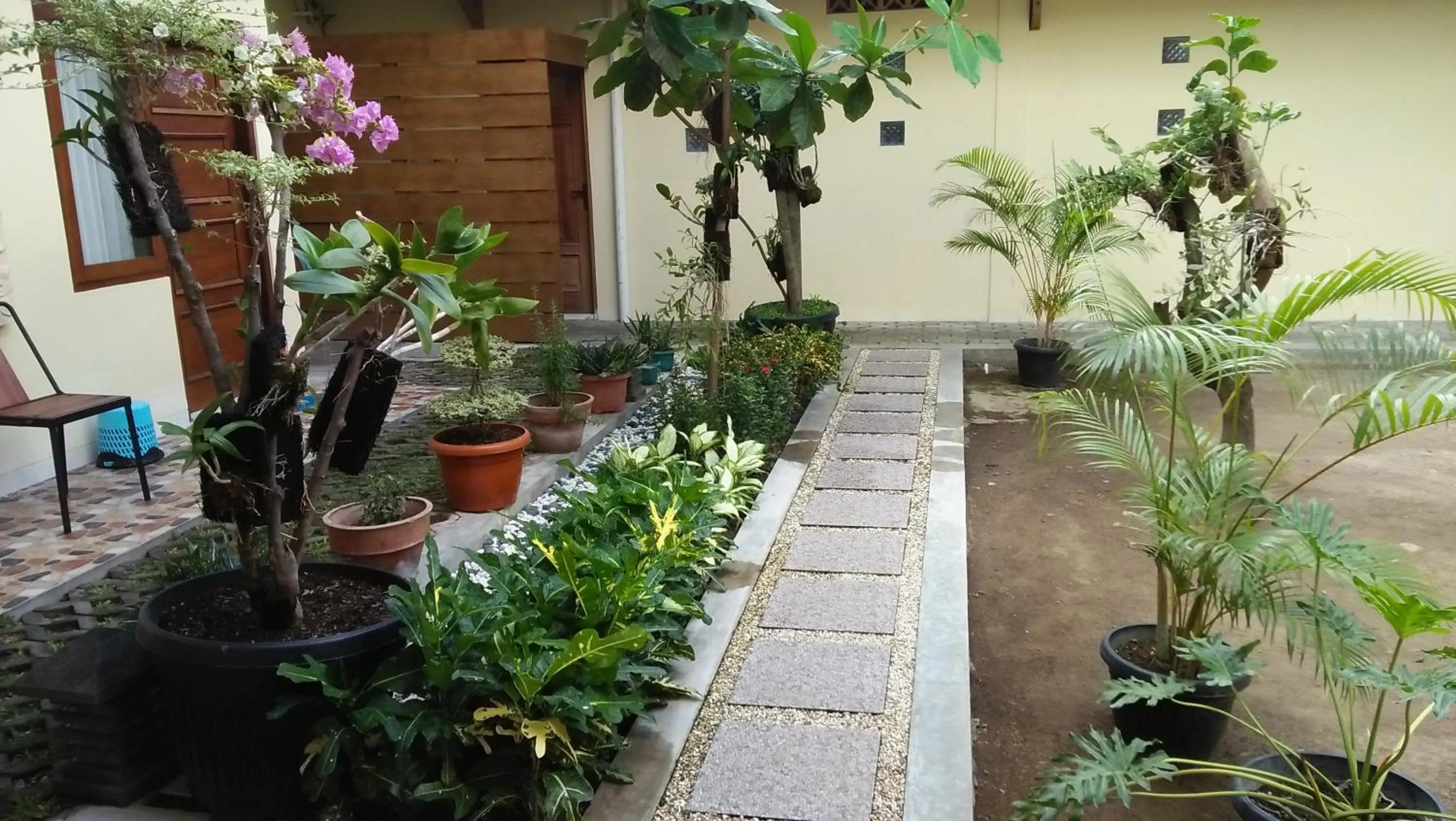 Garden in Roemah Canting Homestay