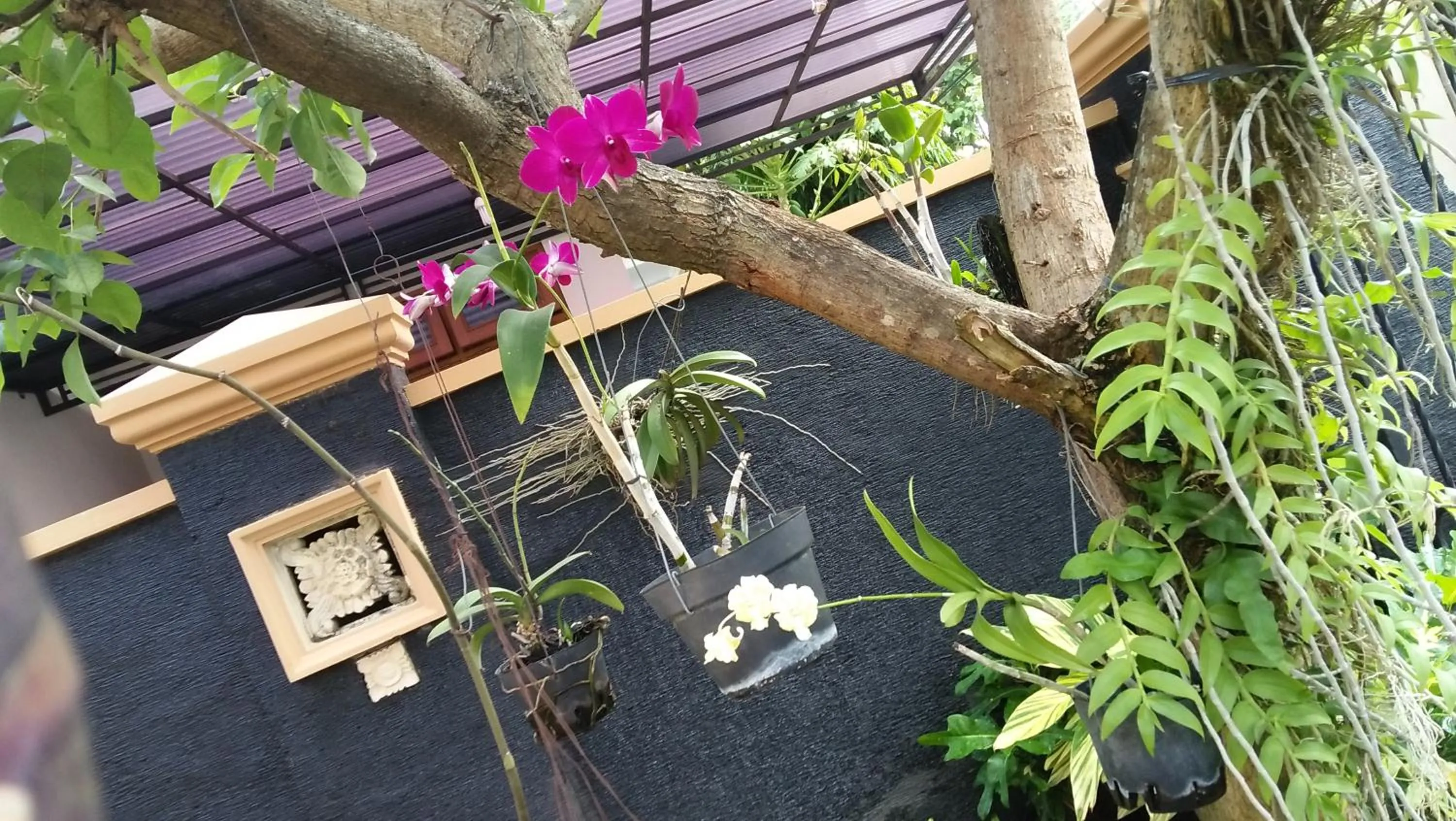 Balcony/Terrace in Roemah Canting Homestay