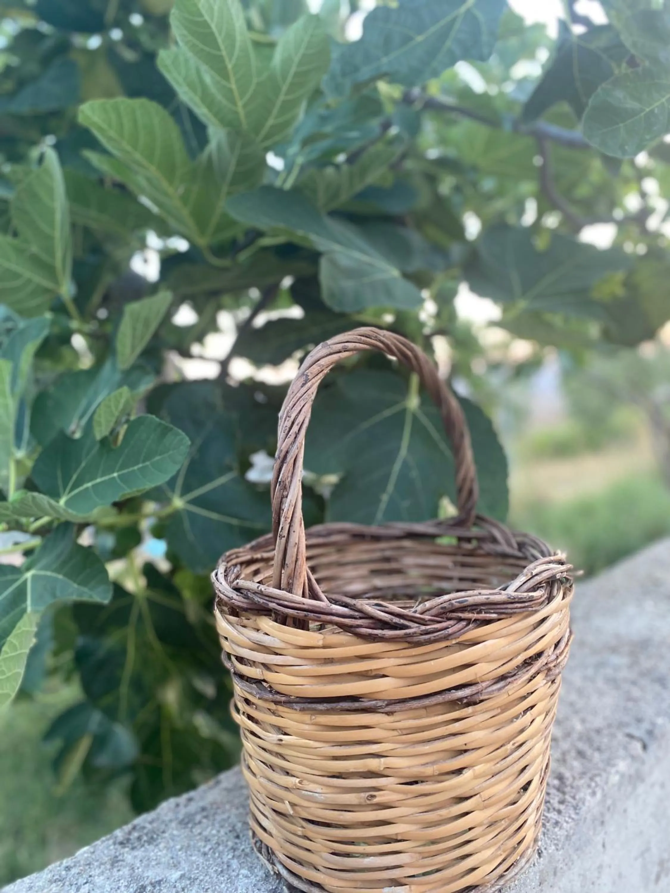 Spring in Villa Vittoria