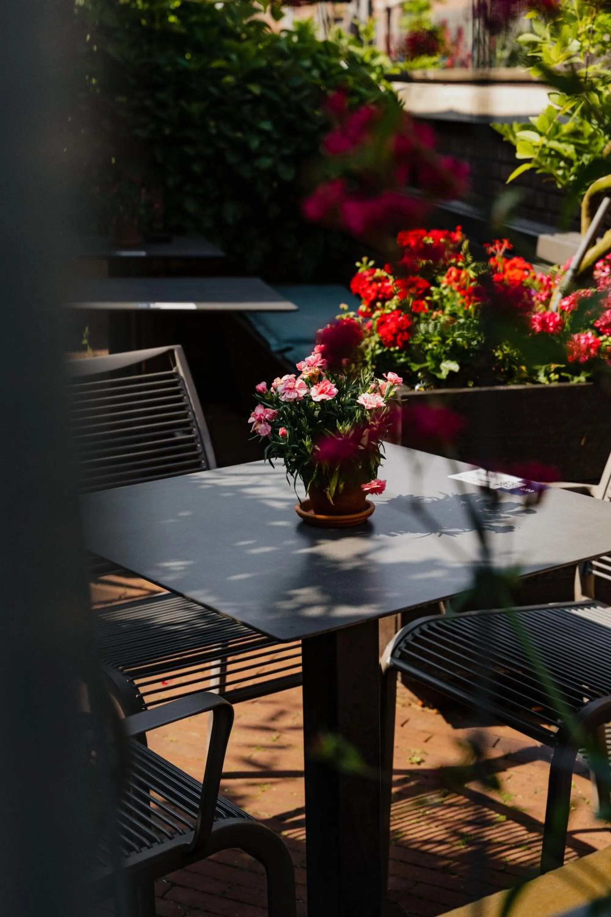 Patio in Hotel De Hallen