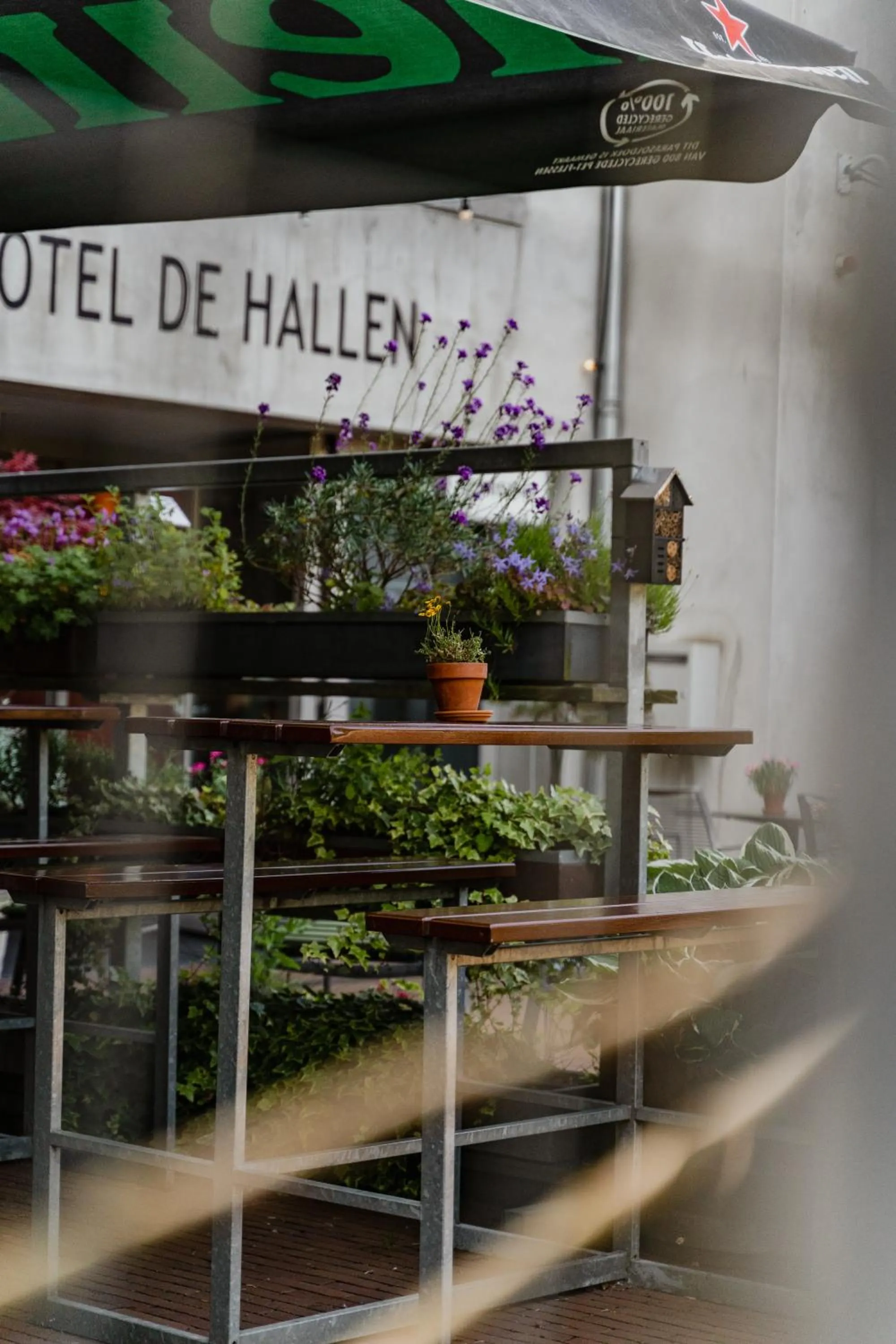 Restaurant/places to eat in Hotel De Hallen