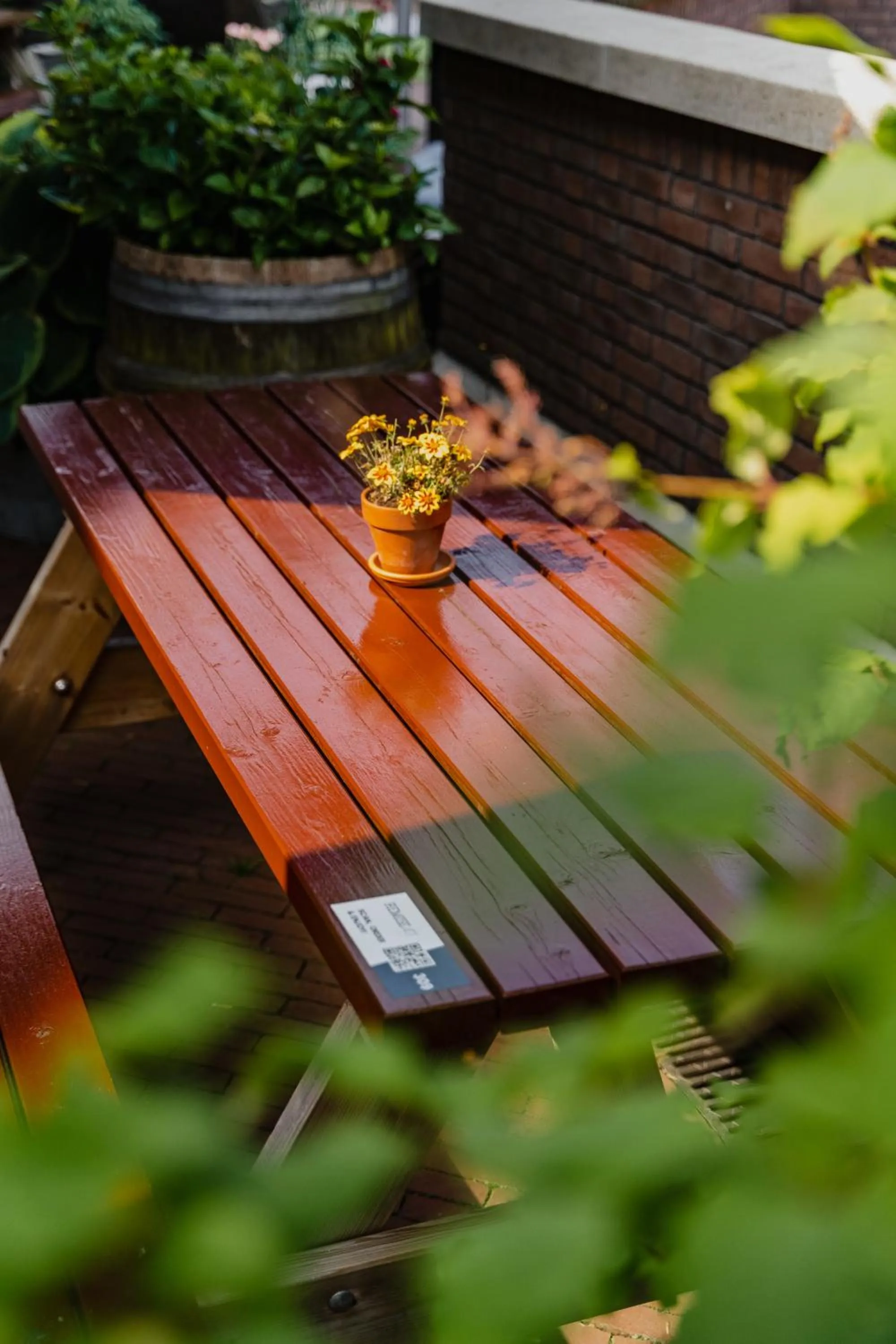 Patio in Hotel De Hallen