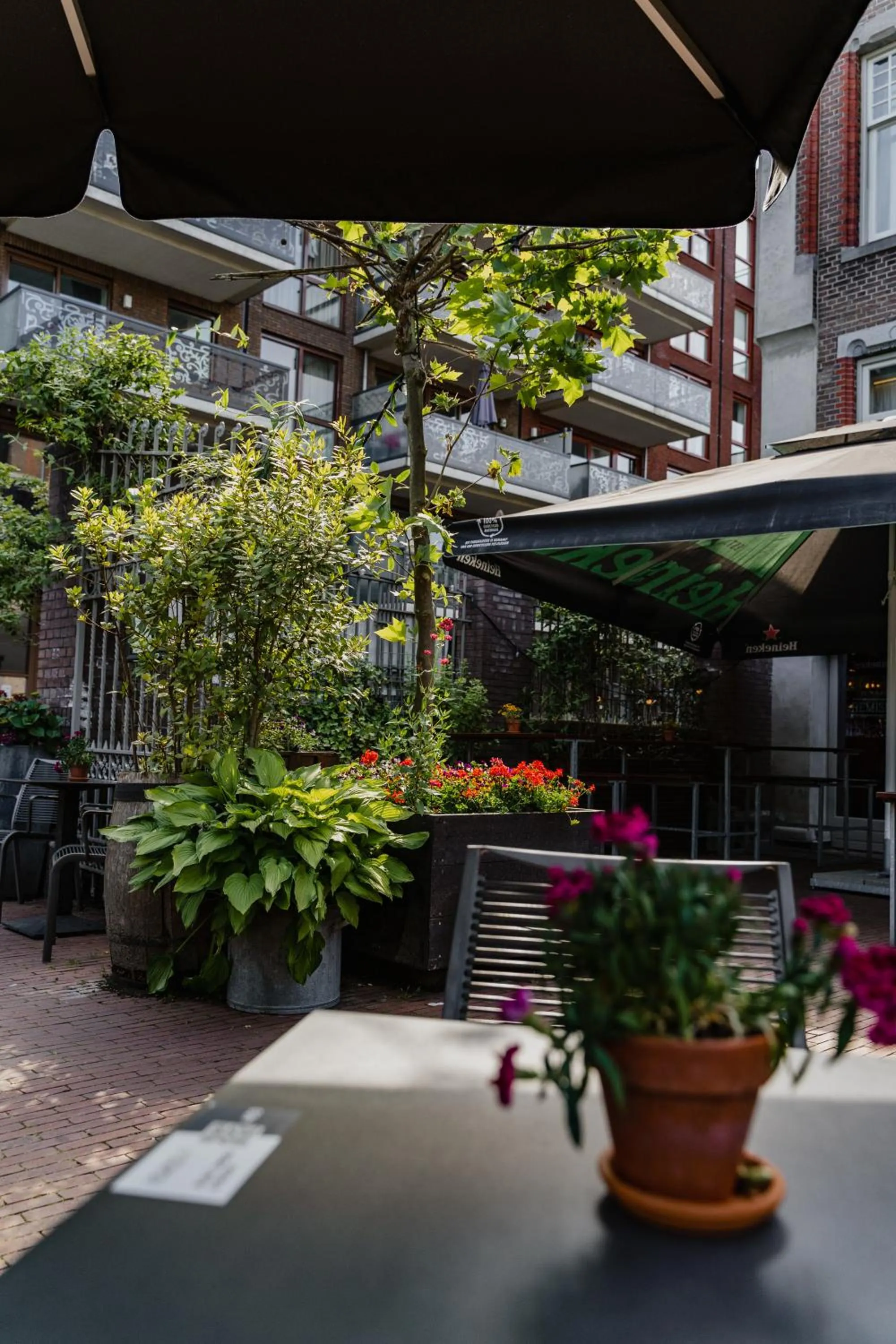 Patio in Hotel De Hallen