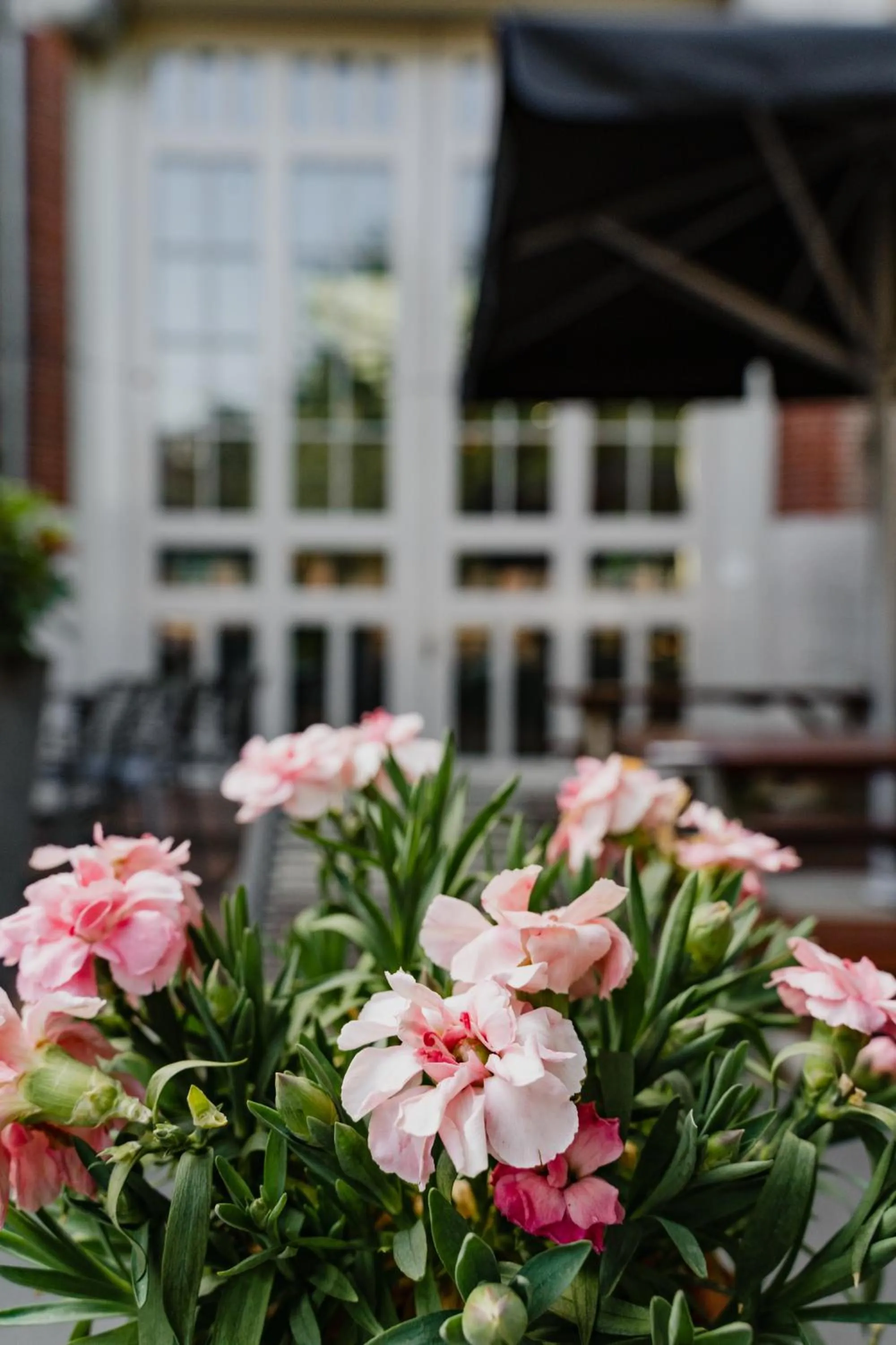 Property building in Hotel De Hallen
