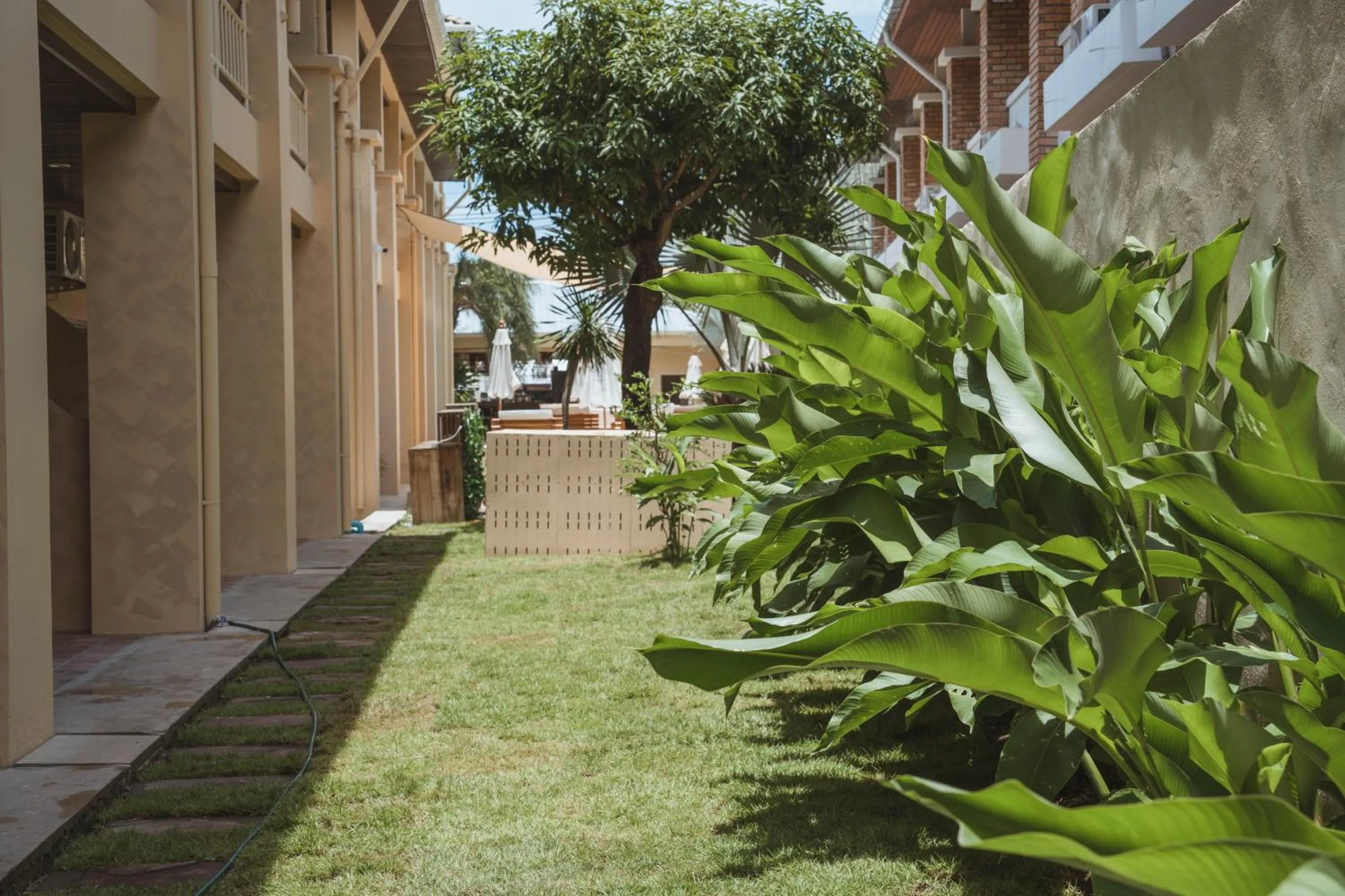 Garden view in Rustic and Blue Getaway