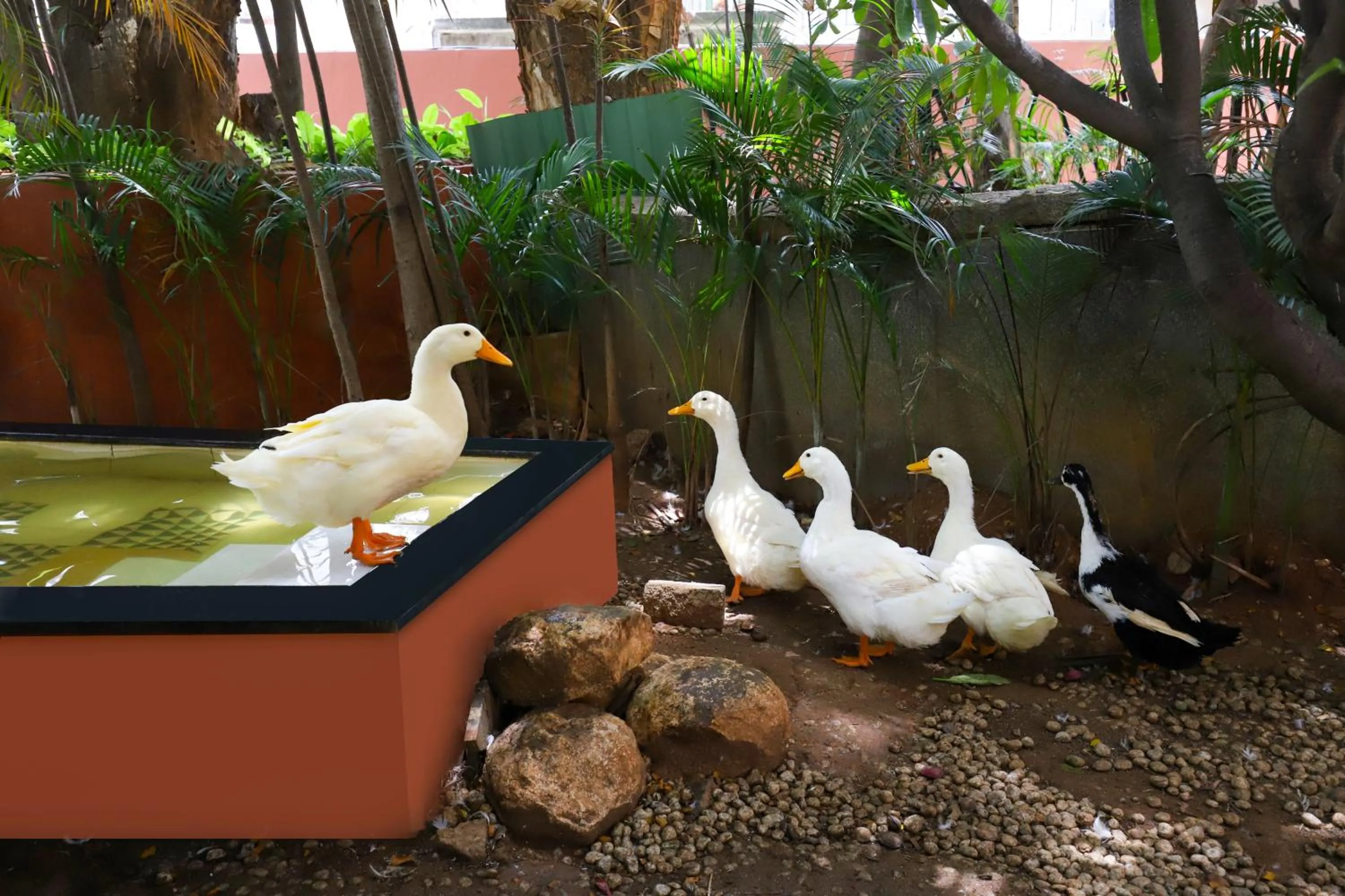 Garden view in Lemon Tree Suites, Whitefield, Bengaluru