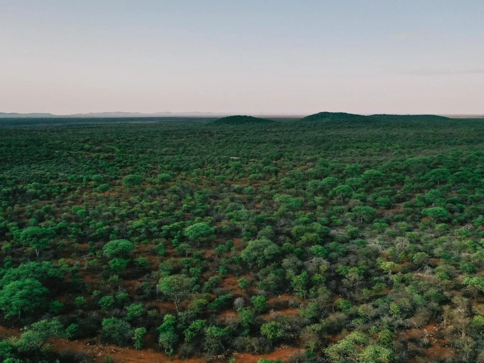 Natural landscape in Kifaru Bush camp