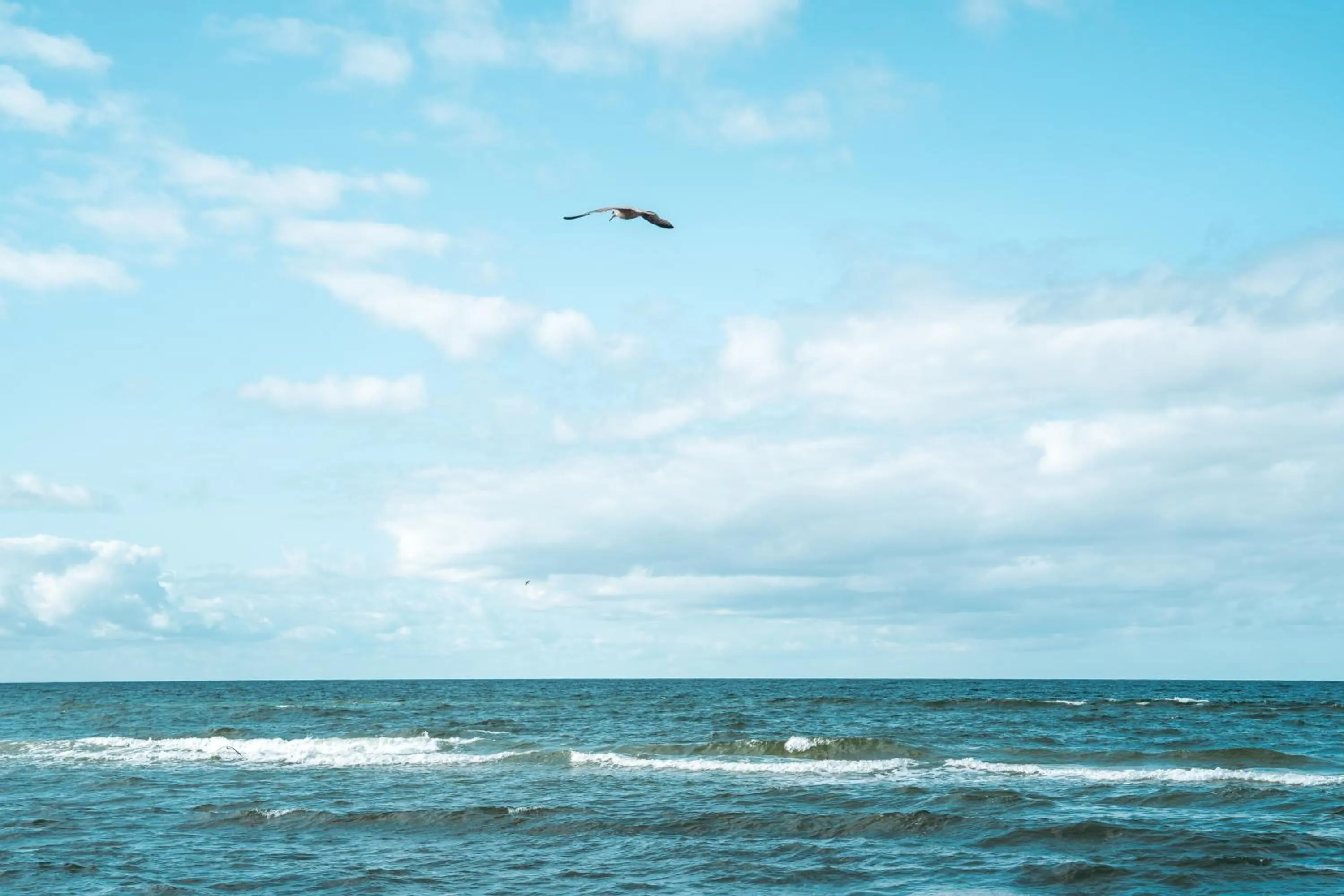 Beach in Hotel ARCHE Fabryka Samolotów w Mielnie