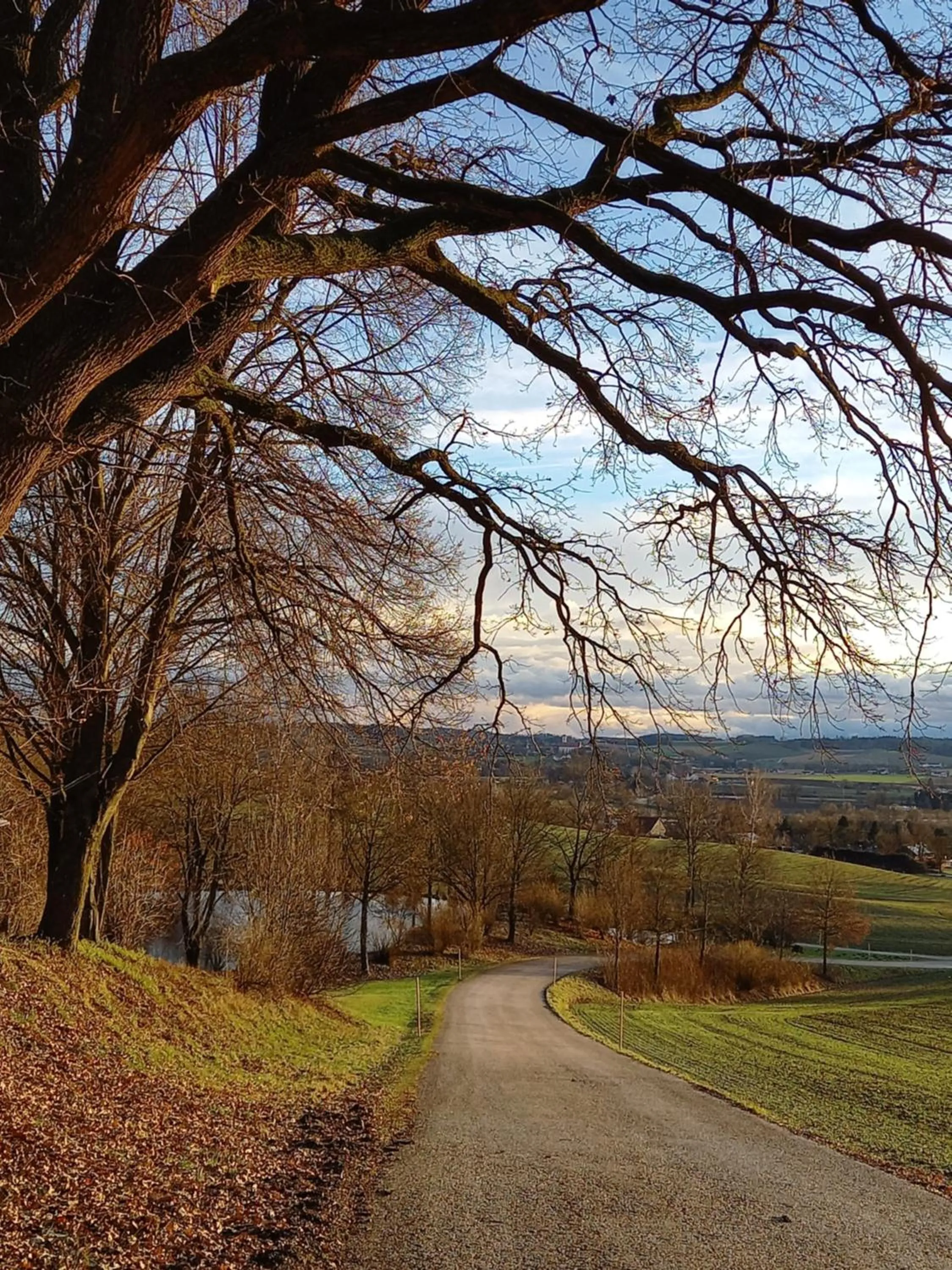 Hiking in Apparthotel Jagdhof