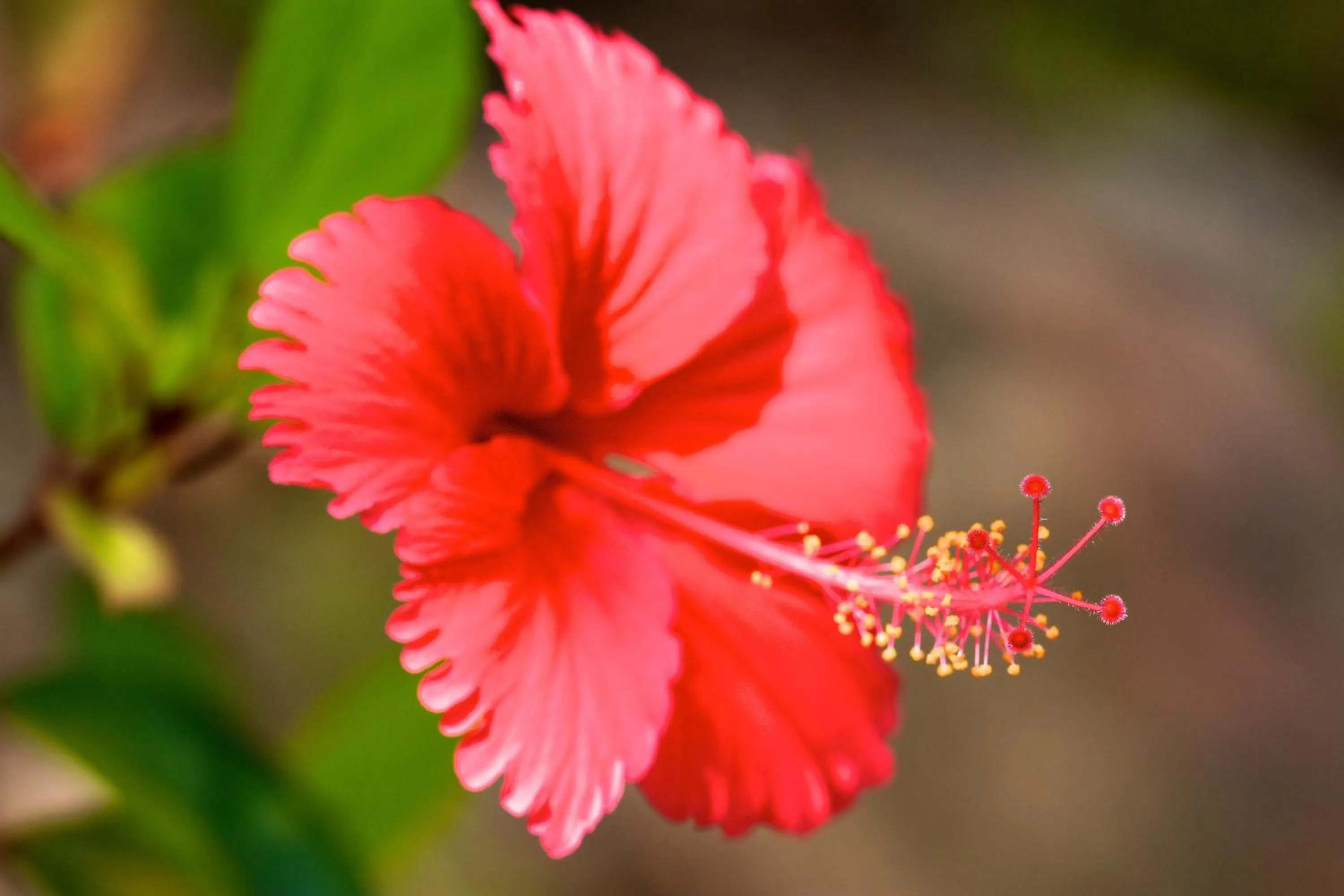 Decorative detail in Valmer Resort and Spa